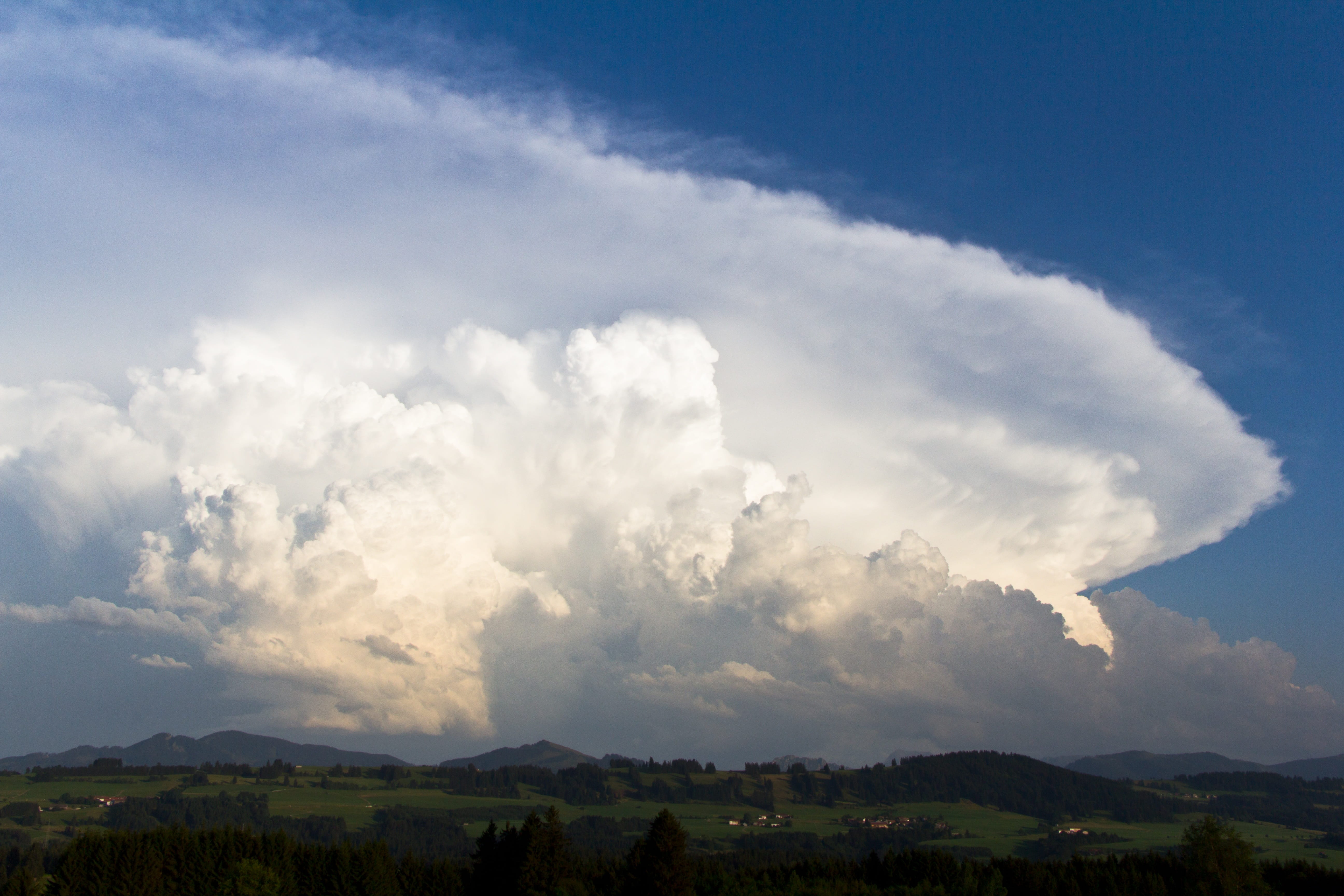 nature, dramatic, scenics - nature, mood, enormous, trees, storm hunting, bavaria, no people, sun, meadow, cumulus clouds, cloud, sky, cloud - sky, cumulonimbus, HD Wallpaper