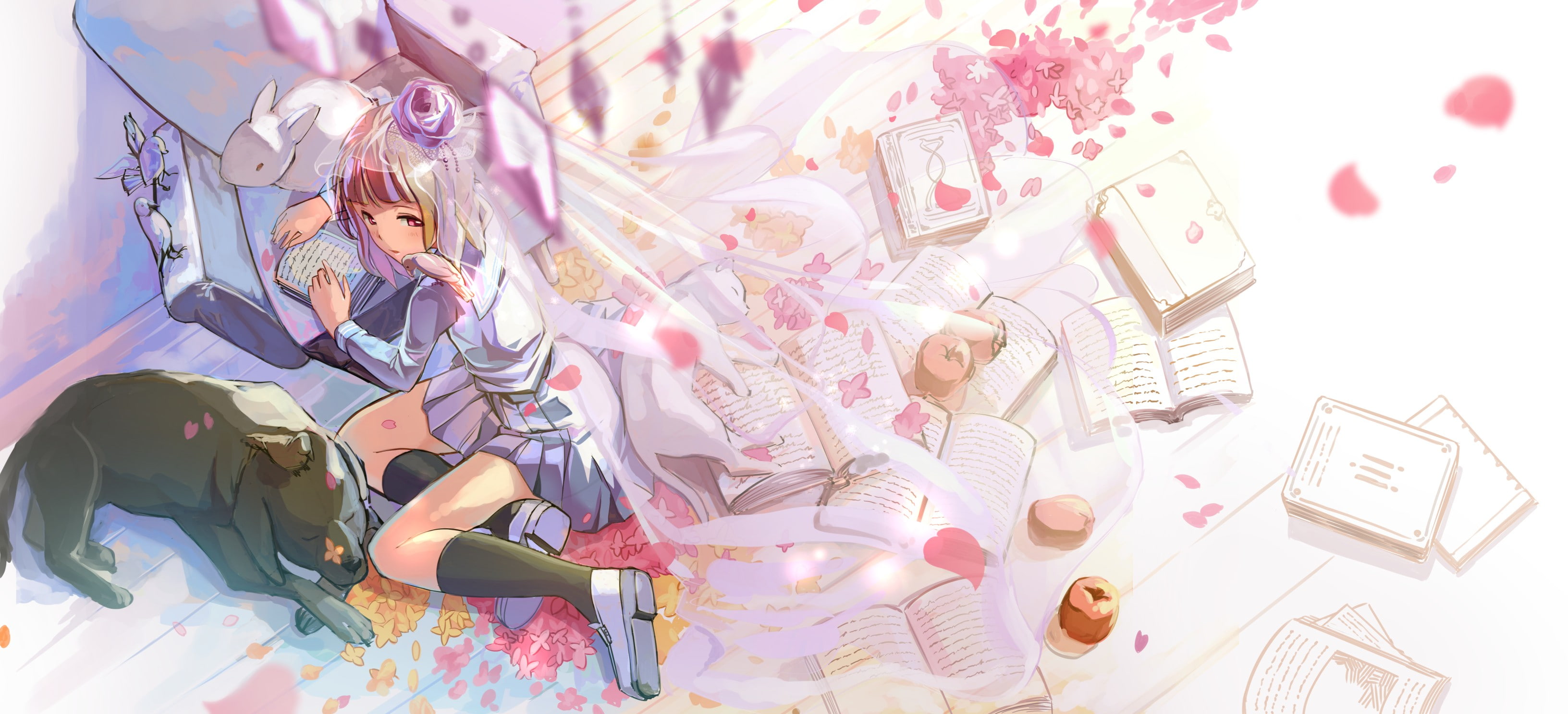 anime girls, event, dog, animals, child, offspring, White Rabbit, knee-highs, people, holiday, cat, food and drink, group of people, anime, 2K, books, HD Wallpaper