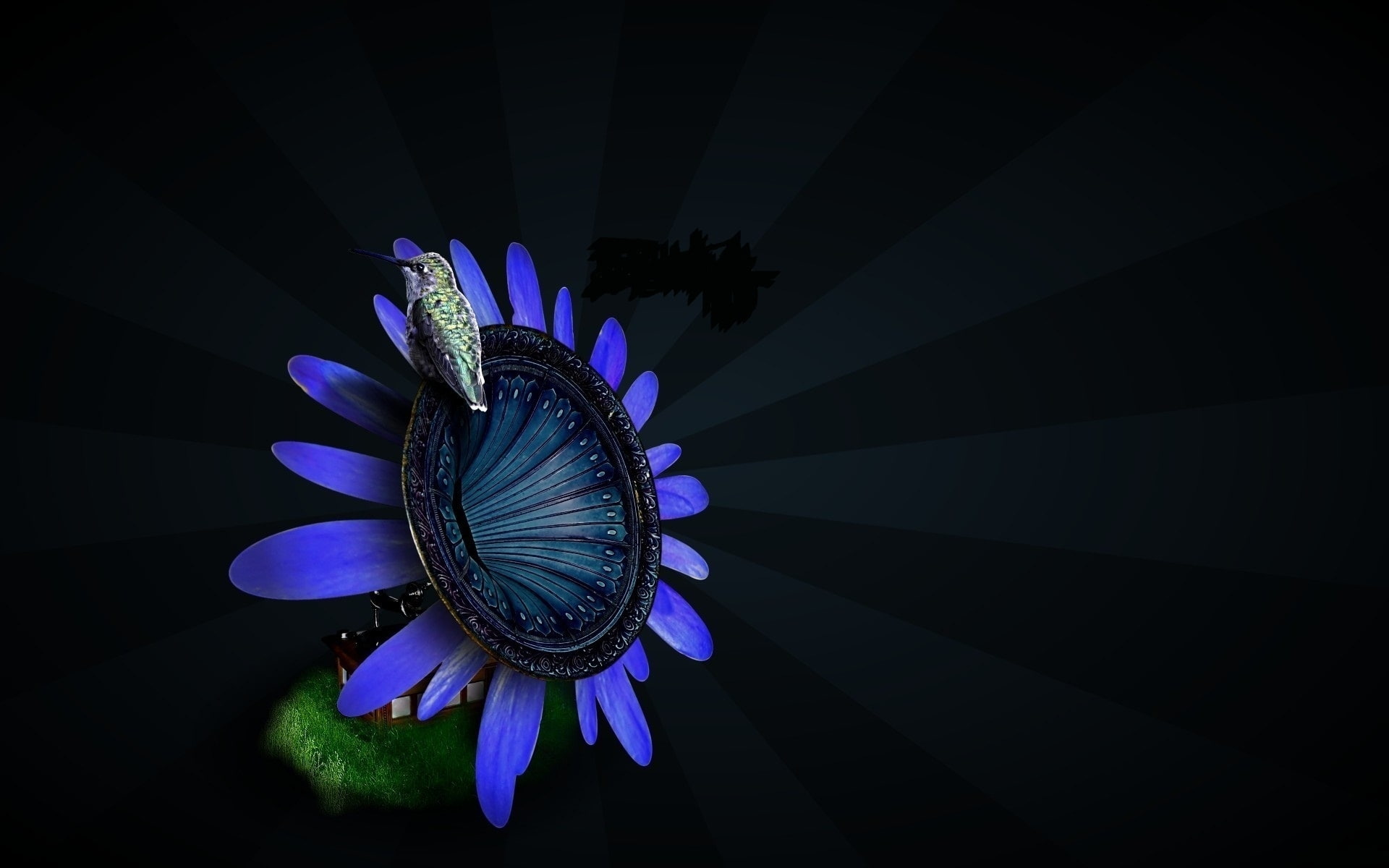 woodpecker, flower, picture, background, 1080P, HD Wallpaper