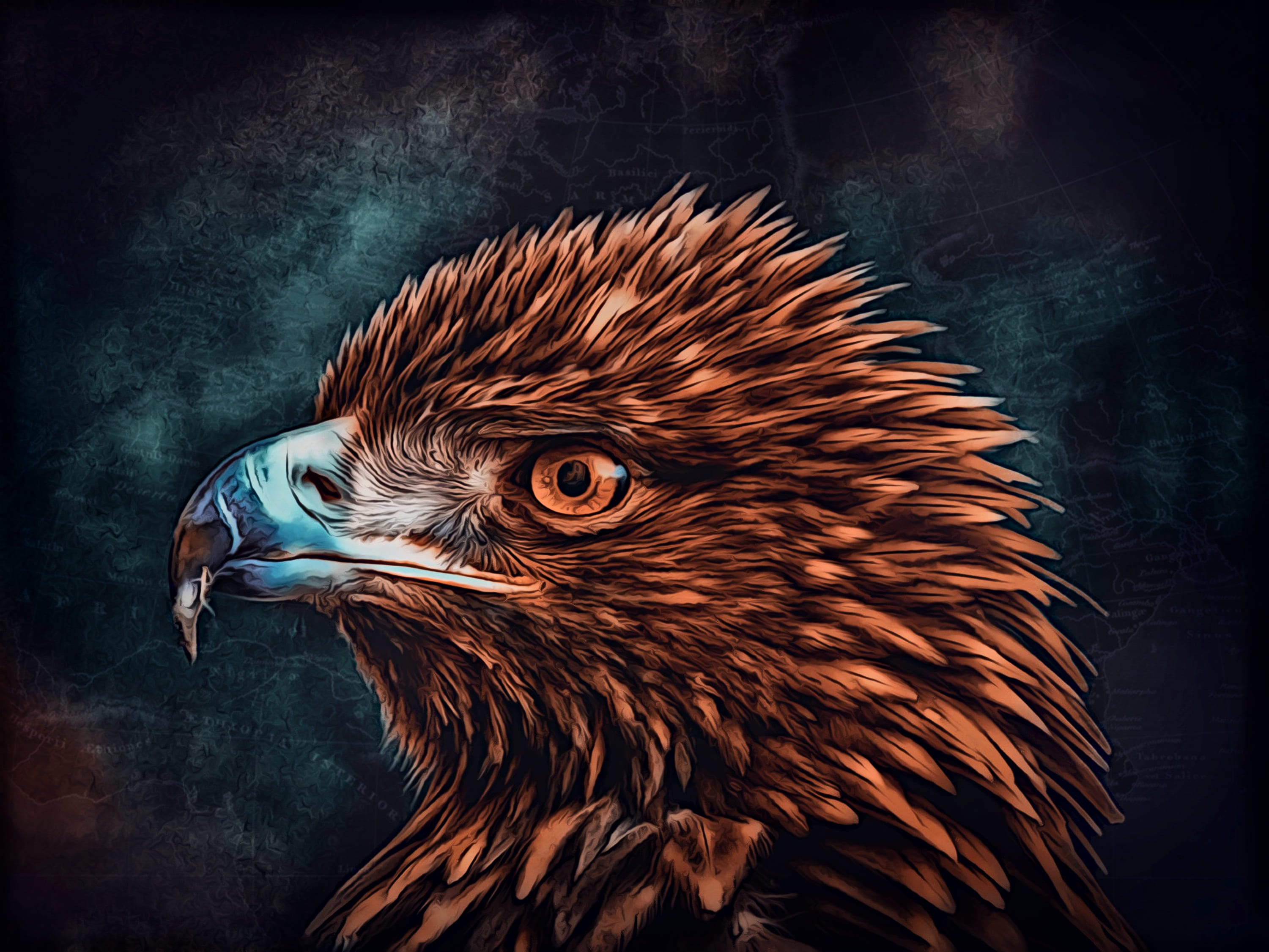 close-up, animal eye, profile view, bird, chicken - bird, indoors, focus on foreground, animal, 2K, animals in the wild, bird of prey, digiart, no people, HD Wallpaper