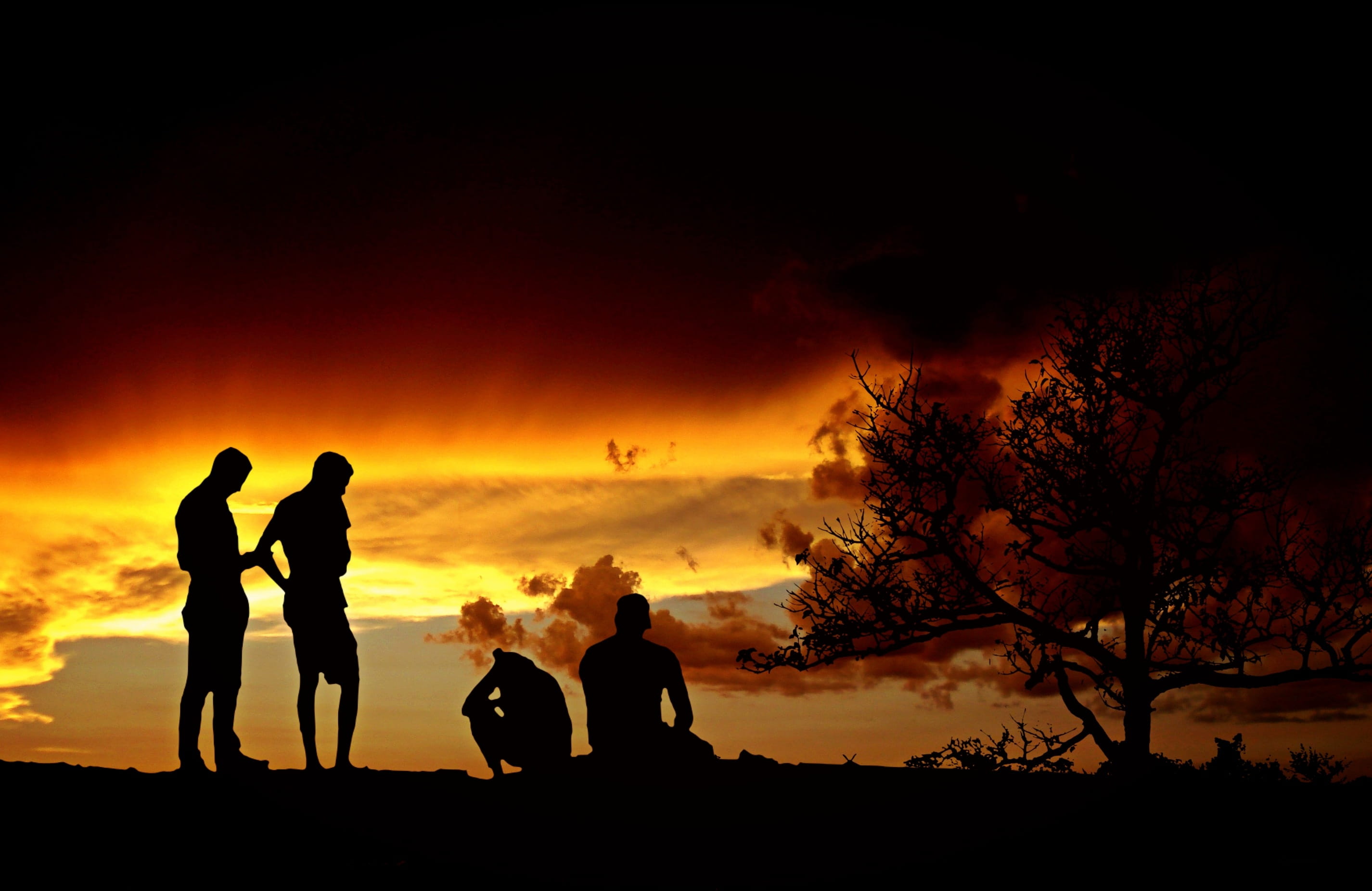 group, Group, digiart, get-together, Leisure, photo, Friends, abendstimmung, plant, sitting, orange color, silhouette, ground, rest, peaceful, two, mood, HD Wallpaper