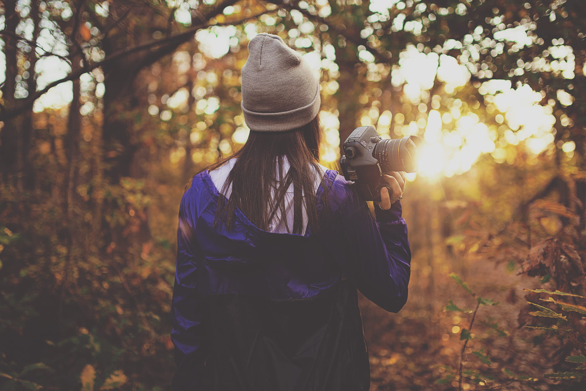 warm clothing, dslr, plant, leisure activity, focus on foreground, hairstyle, lifestyles, woman, autumn, sunlight, holding, DSLR camera, rear view, girl, HD Wallpaper