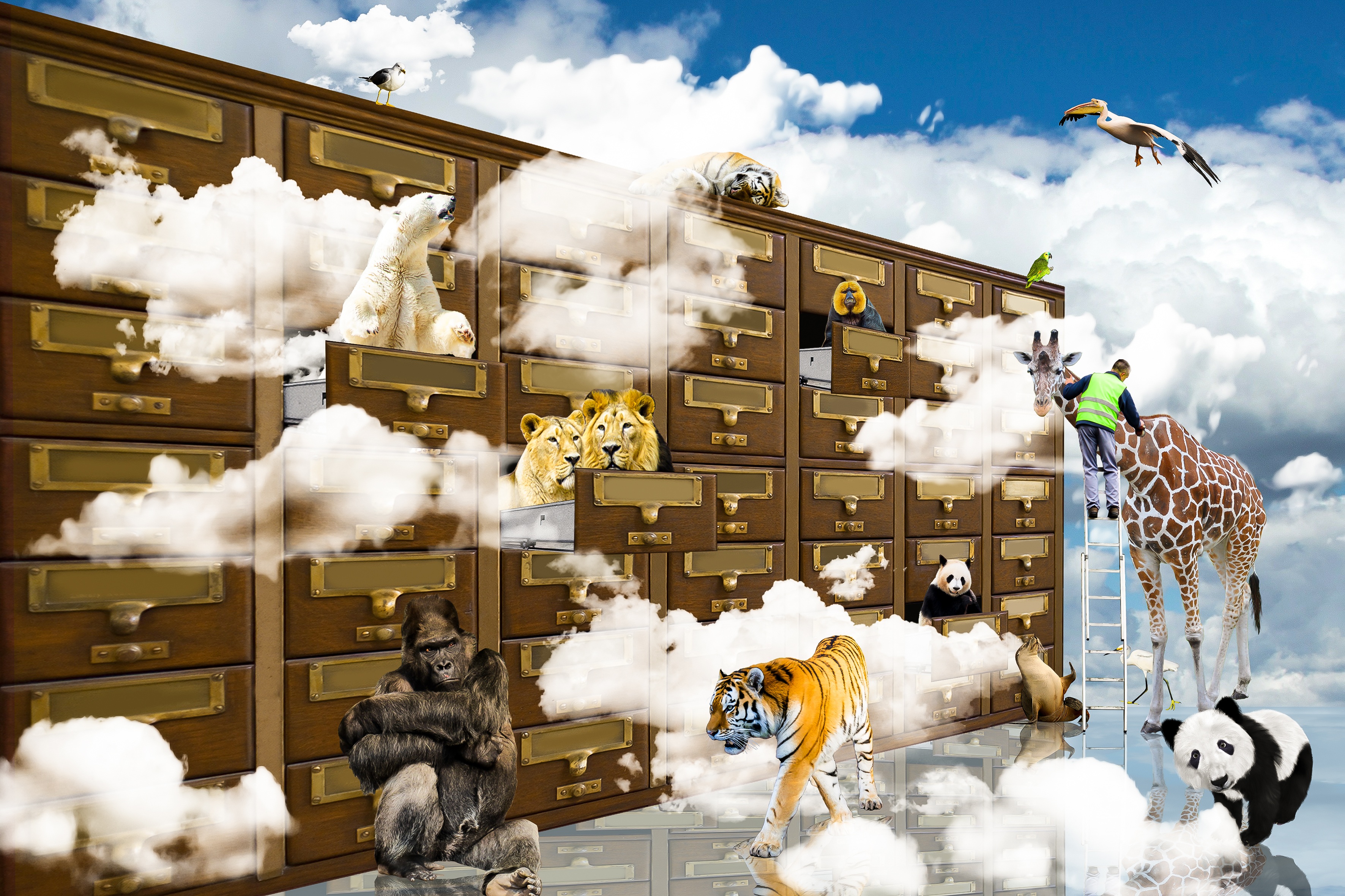 fantasy, drawer, tiger, 2K, day, snow, sky, building exterior, gorilla, human representation, representation, art and craft, white color, panda, giraffe, HD Wallpaper
