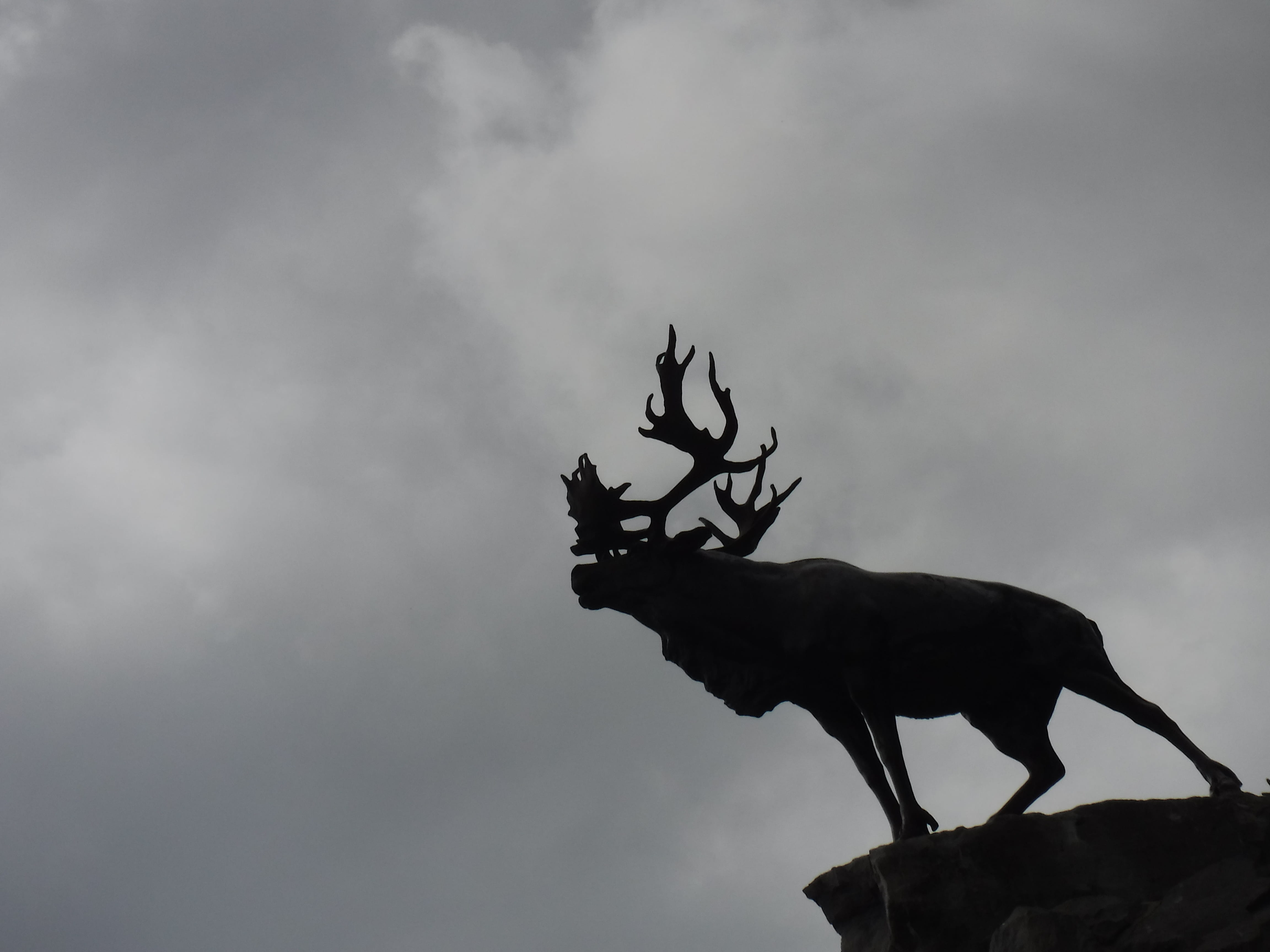 cloud - sky, steeple, mammal, low angle view, nature, 4K, animal, bird, overcast, sculpture, outdoors, canine, wildlife, pet, art and craft, elk, animal wildlife, HD Wallpaper