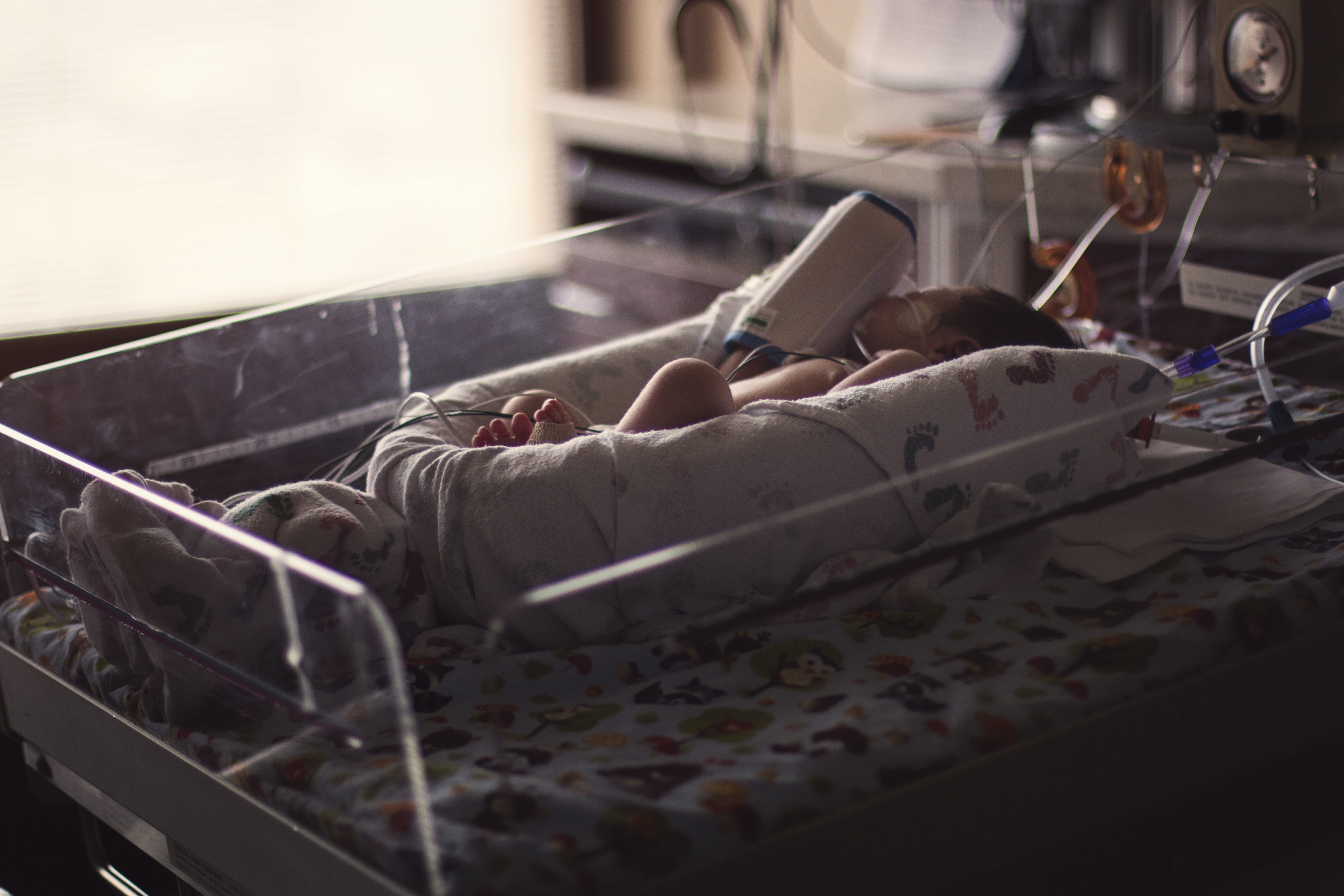 textile industry, 5K, nest, newborn, parent, selective focus, infant, napping, innocent, little, childhood, furniture, window, white, people, industry, HD Wallpaper