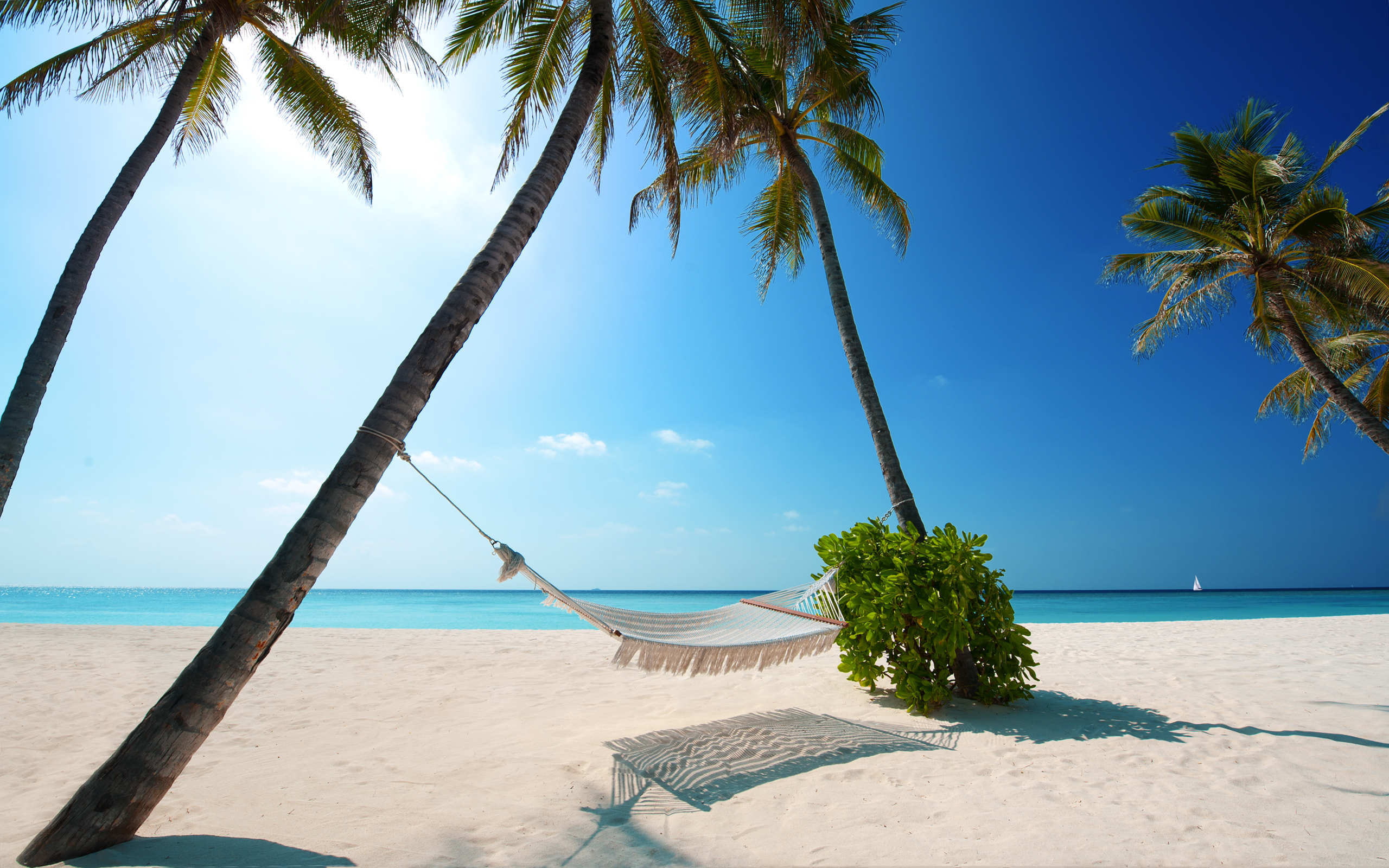 2K, hammock, beach, HD Wallpaper