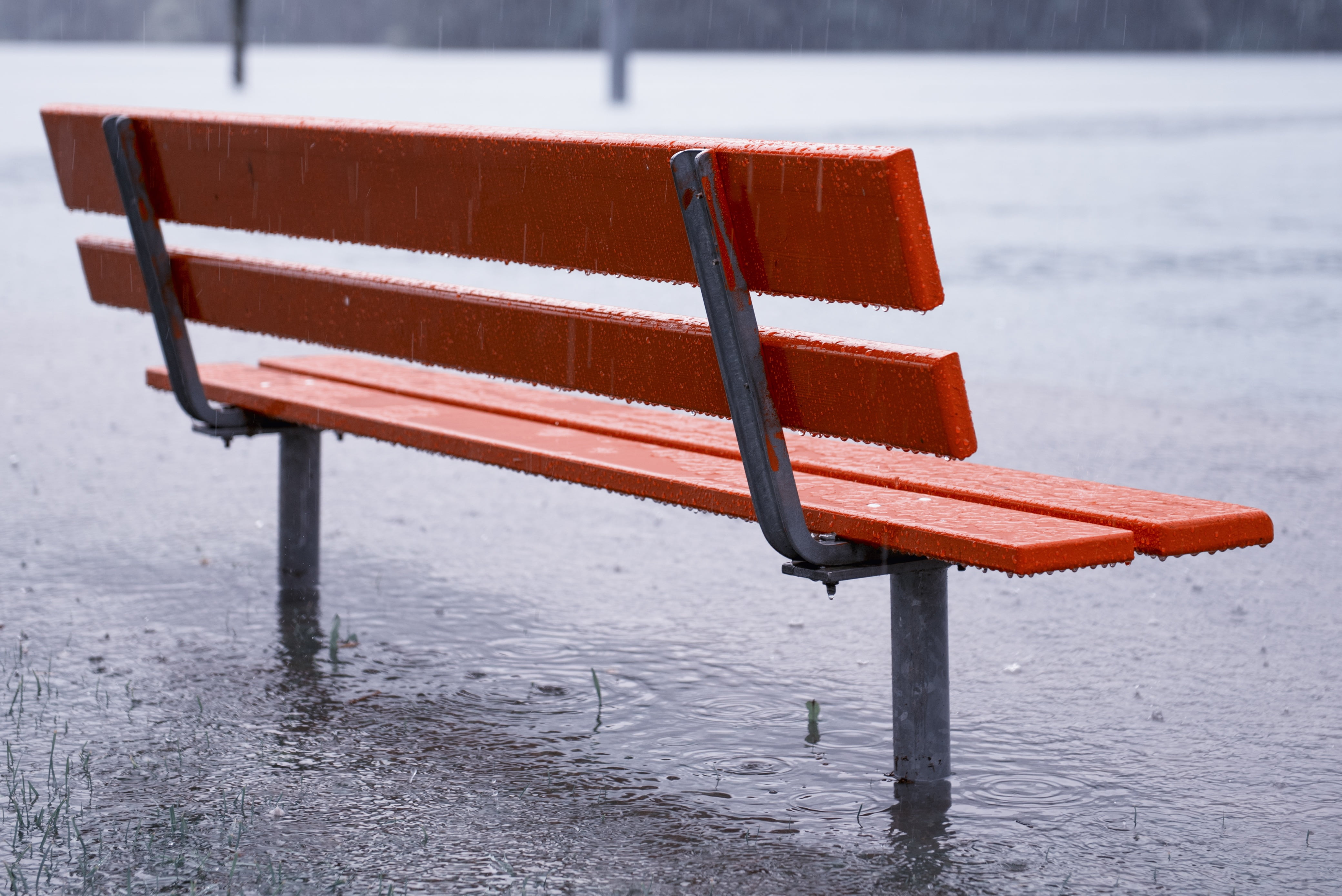 no People, water, frame, weather, focus on foreground, cold temperature, street, wet, frozen, rainy season, puddles, wood - Material, frost, park bench, HD Wallpaper