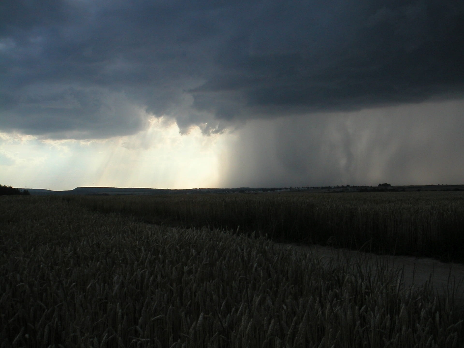 downpour, overcast, power in nature, shiver, storm, scenics - nature, tranquility, nature, beauty in nature, sky, land, Weather, cereal plant, dark, no people, HD Wallpaper