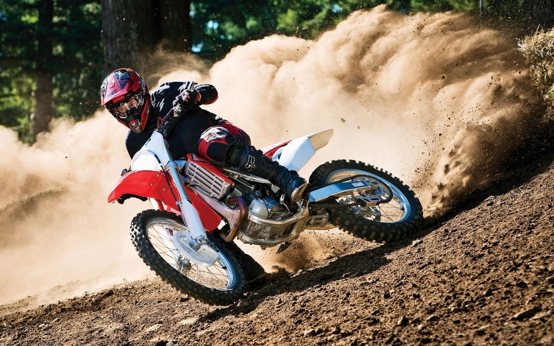 spain, helmet, drive, men, competitive Sport, land, mode of transportation, speed, motorcycle Racing, sports Helmet, machinery, adventure, white, riding, HD Wallpaper