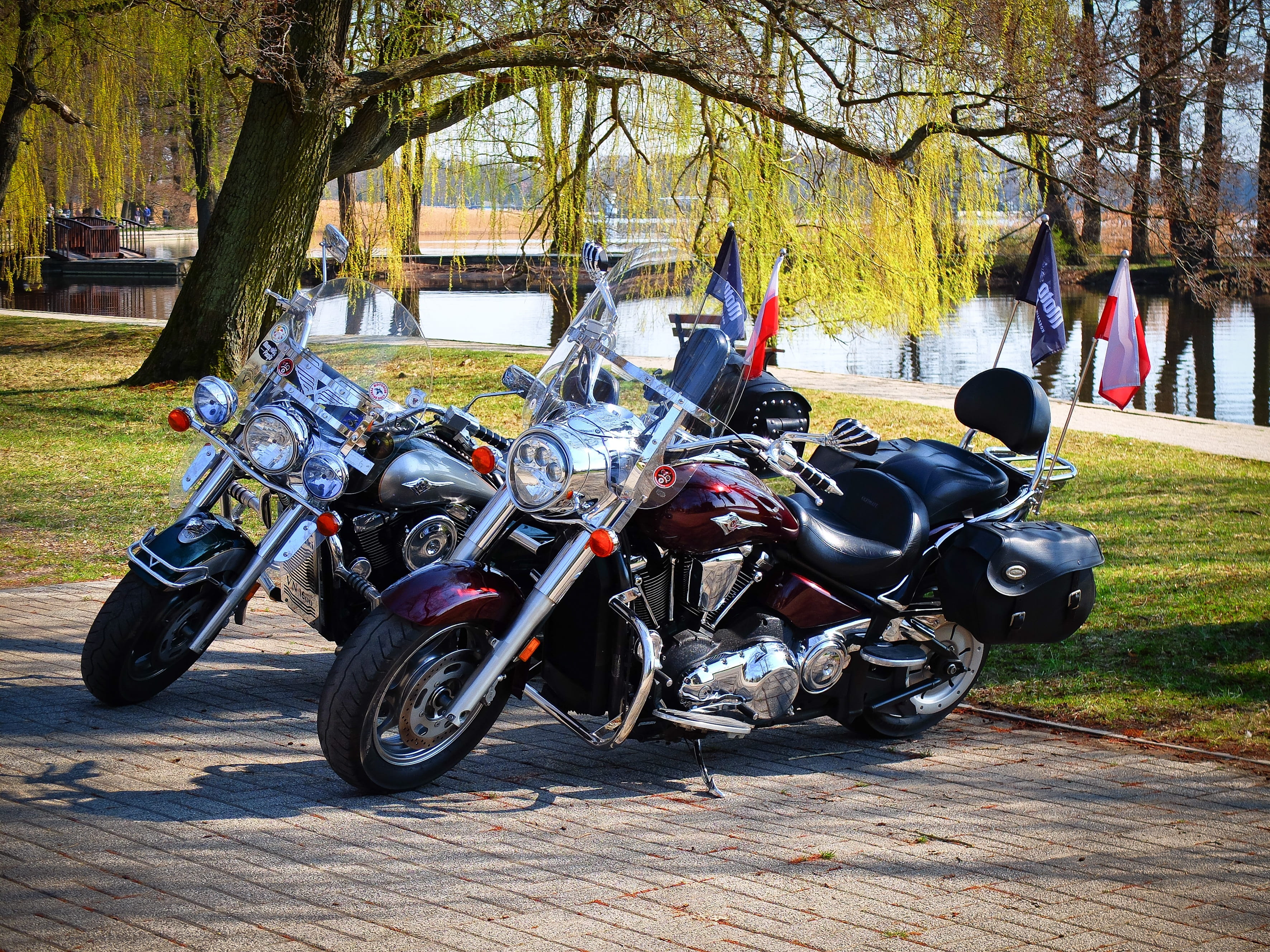 the volcano, trunk, kawasaki, field, travel, chrome, parking, road, plant, motorcycle, outdoors, nature, 2K, bare tree, motorcycles, tree trunk, motorcyclist, HD Wallpaper