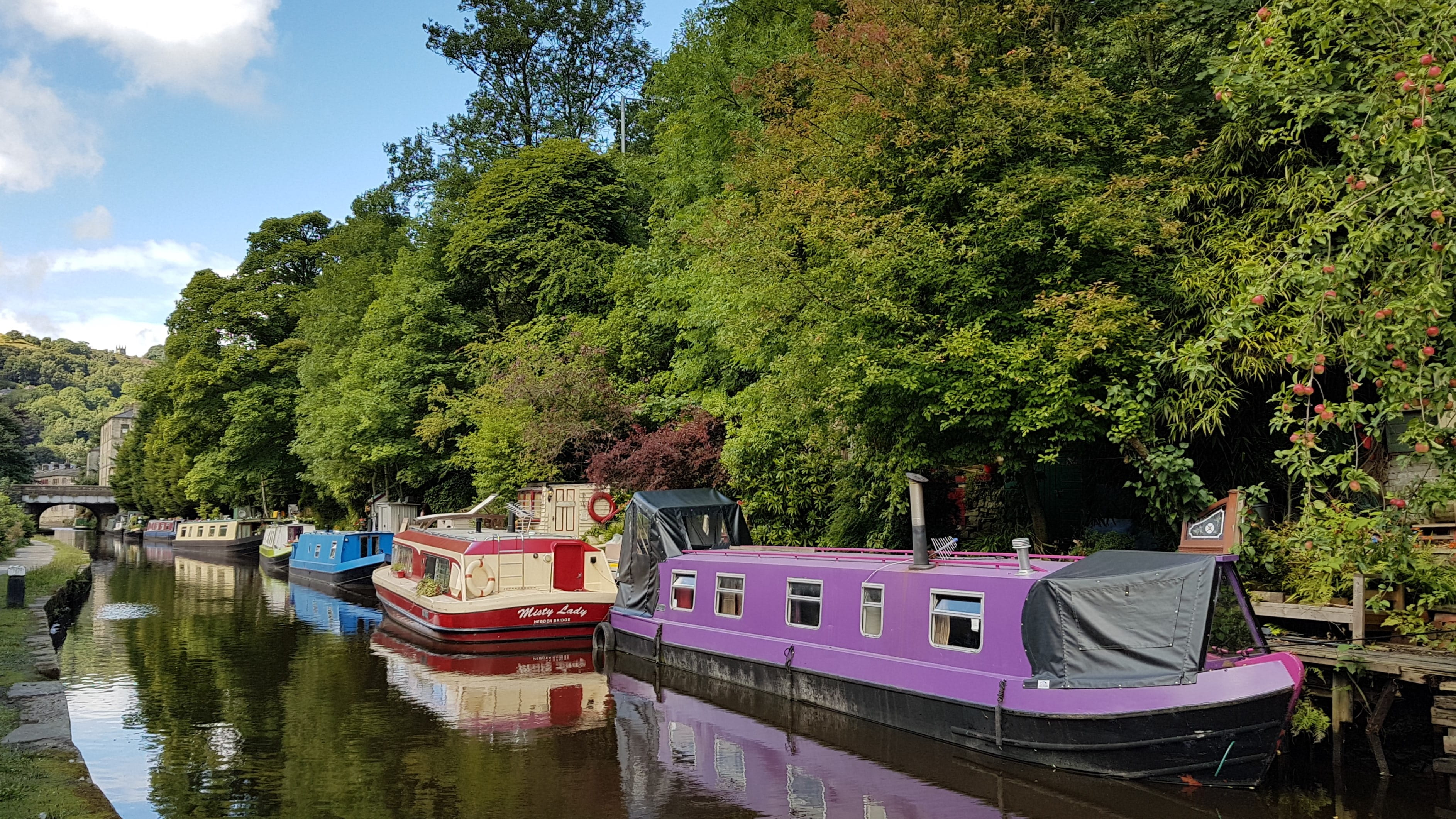 rowboat, growth, green color, transportation, day, recreational boat, waterfront, no people, plant, water, narrowboat, barge, lake, moored, nautical vessel, HD Wallpaper