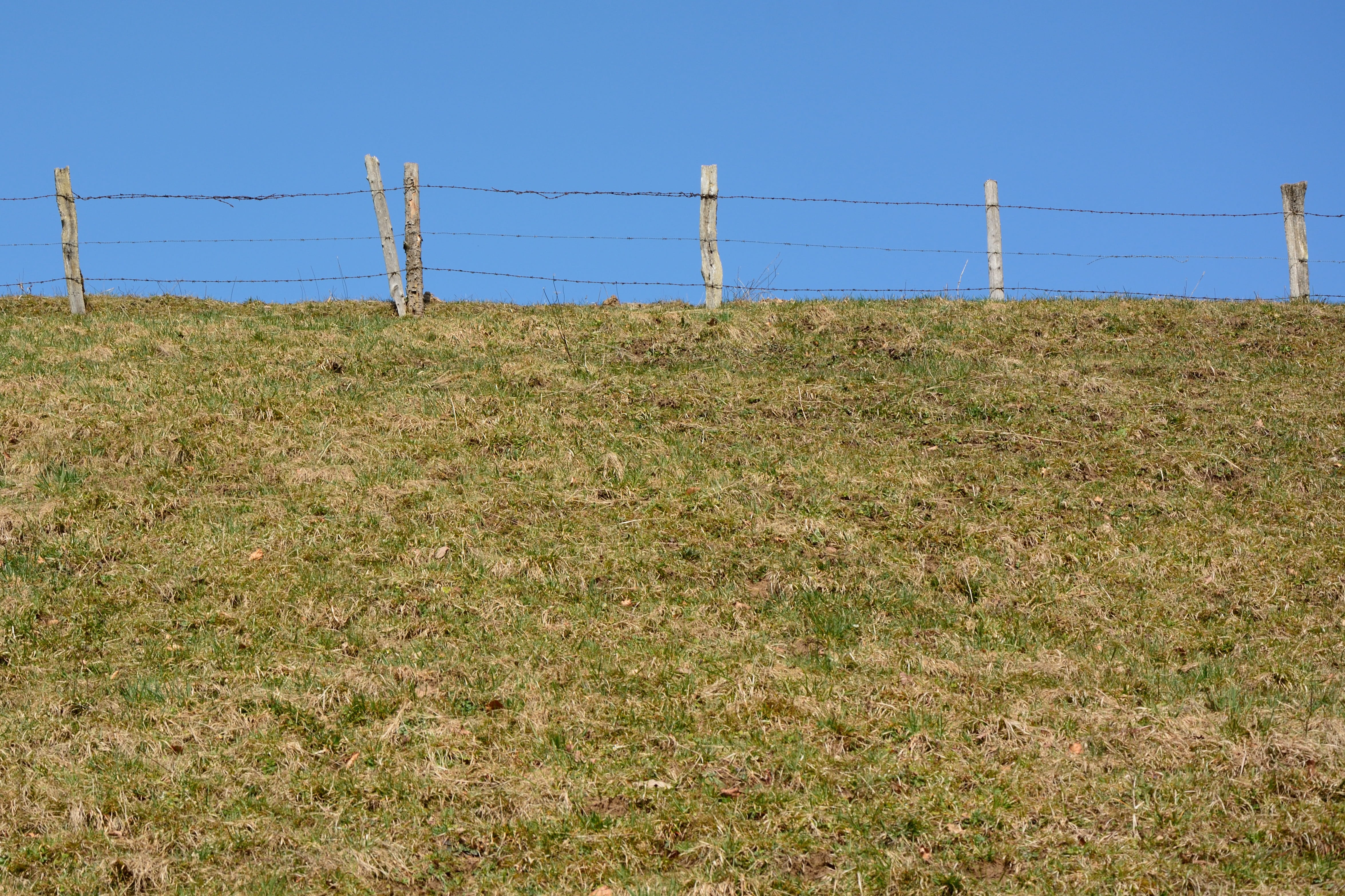 Horizon, enclosure, electricity, connection, sky, Border, land, clear sky, safety, Fence, field, imprisoned, barrier, boundary, day, telephone line, barbed wire, HD Wallpaper