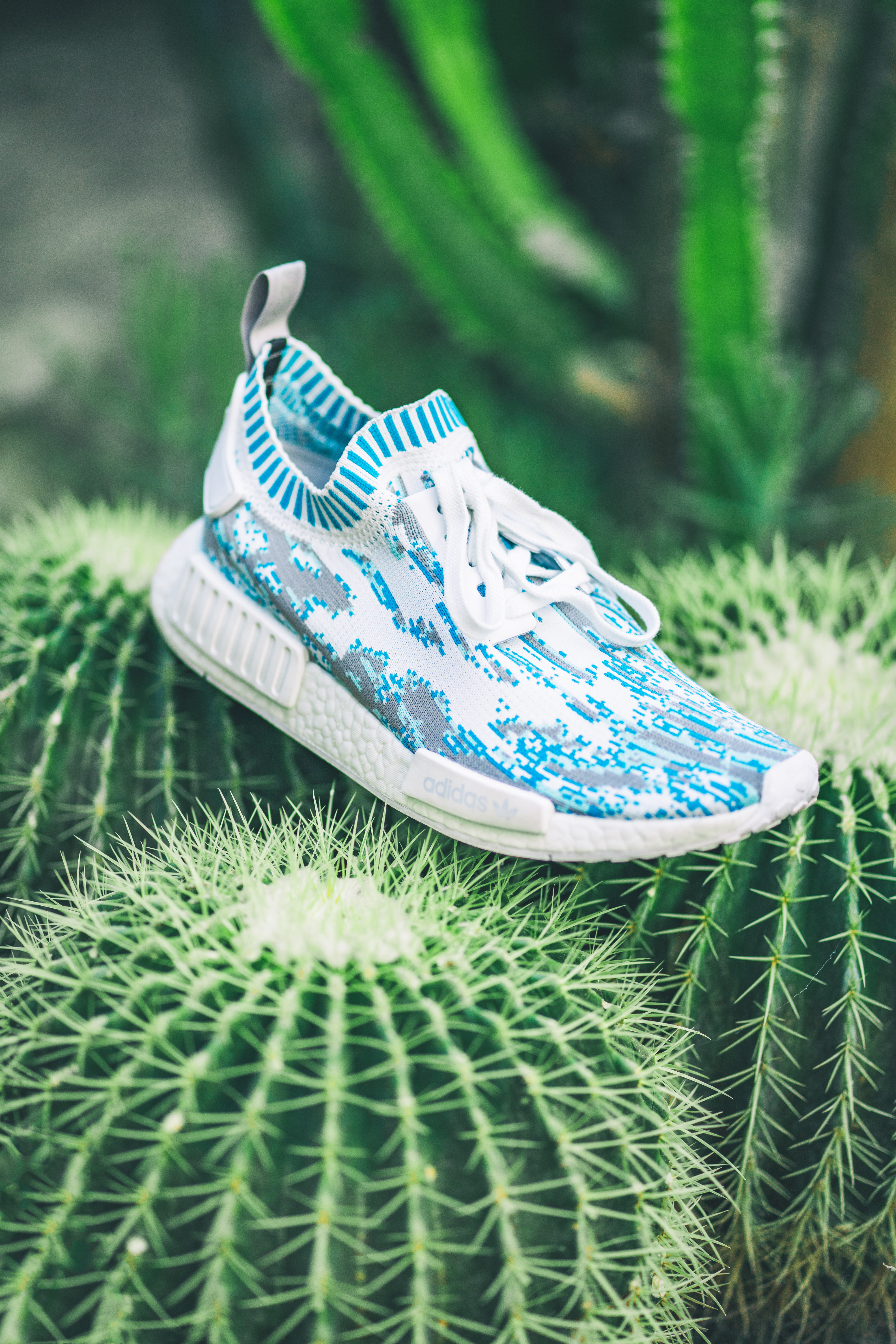 animal, invertebrate, spike, building, animal wildlife, grass, land, growth, one animal, butterfly - insect, conifer, flora, blue, adidas, focus on foreground, Phone HD Wallpaper