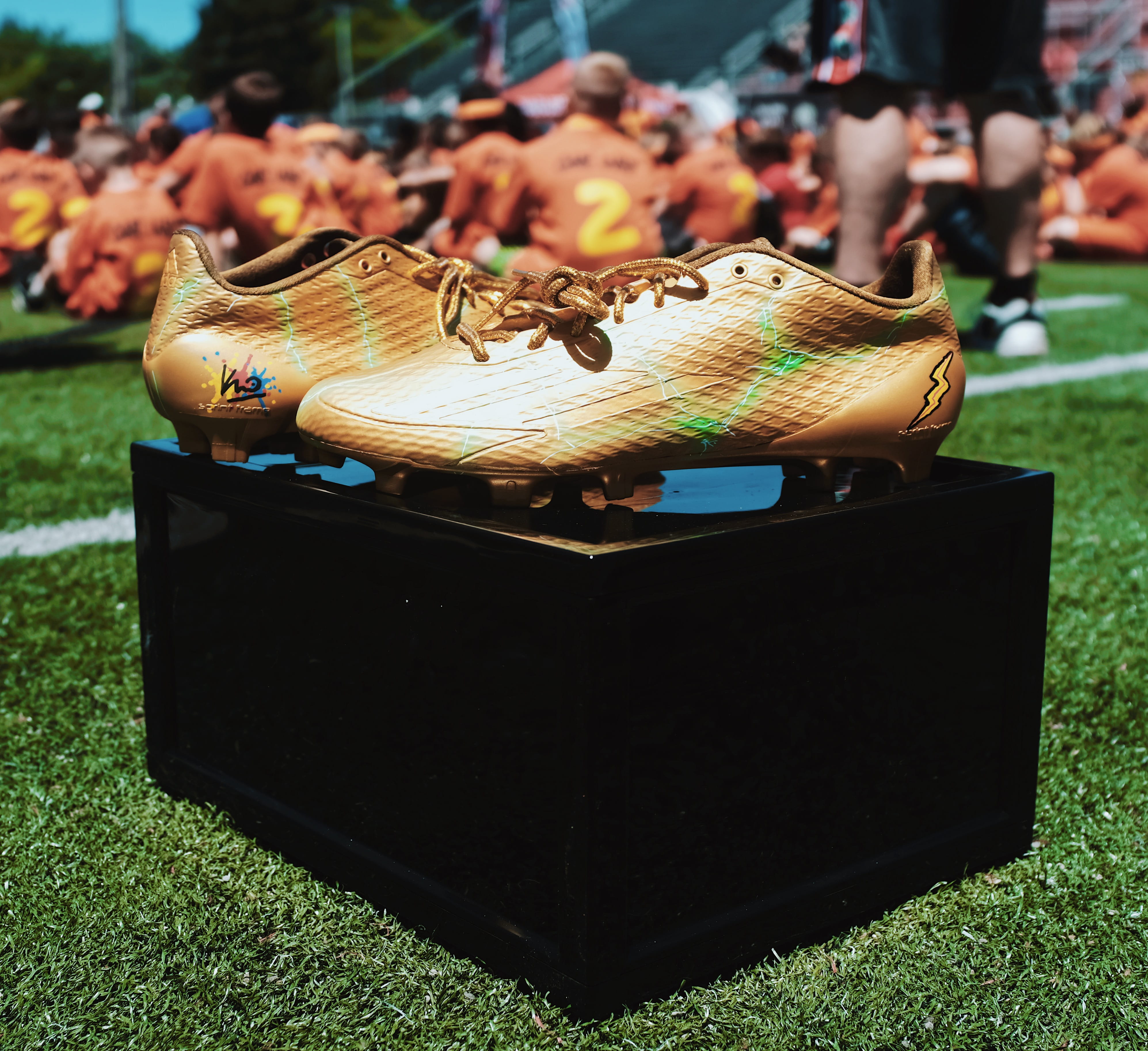 pair, day, table, 4K, footwear, outdoors, box, united states, brown, player, cleats, leisure activities, columbus, athlete, real people, insect, grass, HD Wallpaper