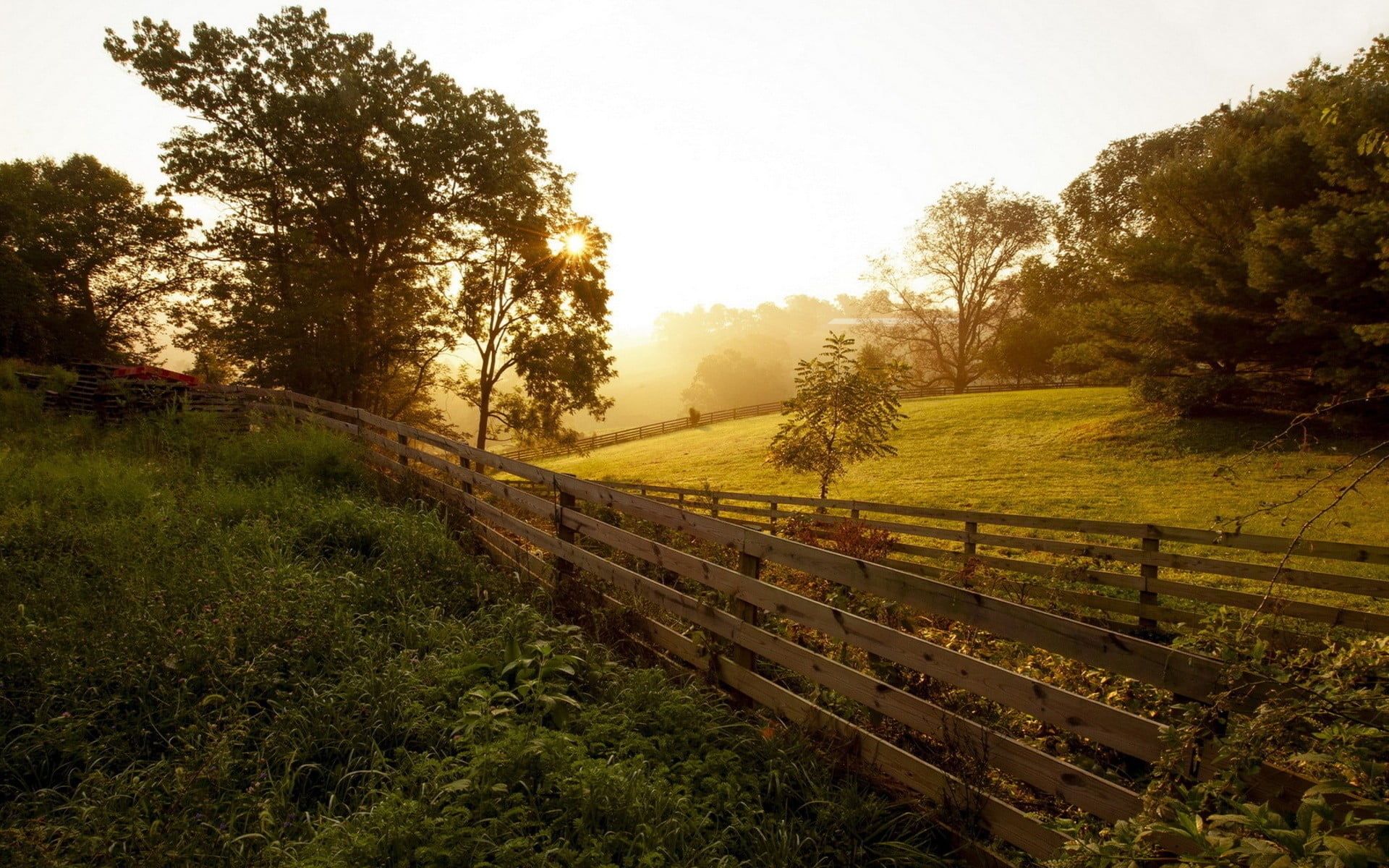 beauty in nature, wooden, landscape, tranquil scene, growth, lens flare, trees, boundary, grass, tranquility, sunset, tree, green color, scenics - nature, HD Wallpaper