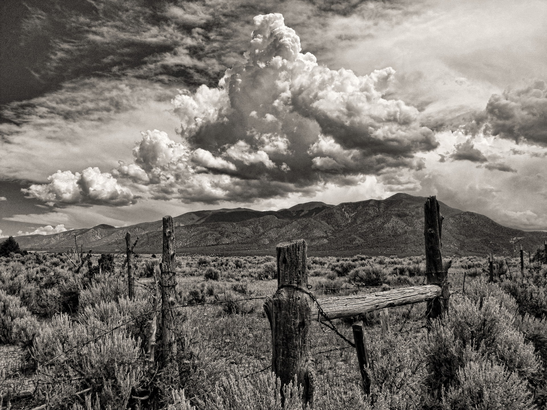 fence, barb, nature, bw, wire, hd, 1080P, landscape, clouds, HD Wallpaper
