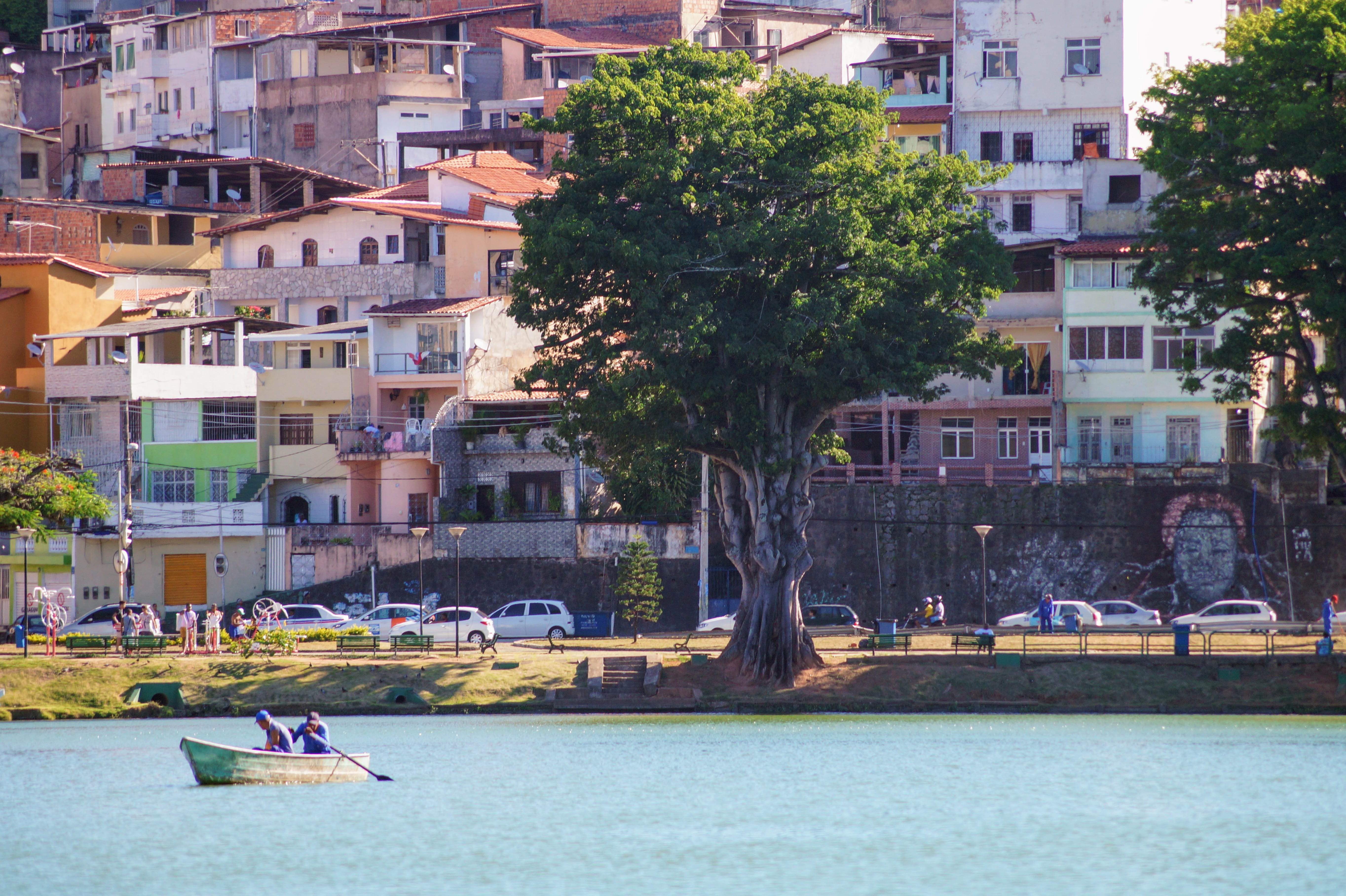 romantic, favelas, real people, residential district, park, tree, city, favela, day, built structure, street, brazil, boat, nature, lake, waterfront, incidental people, HD Wallpaper
