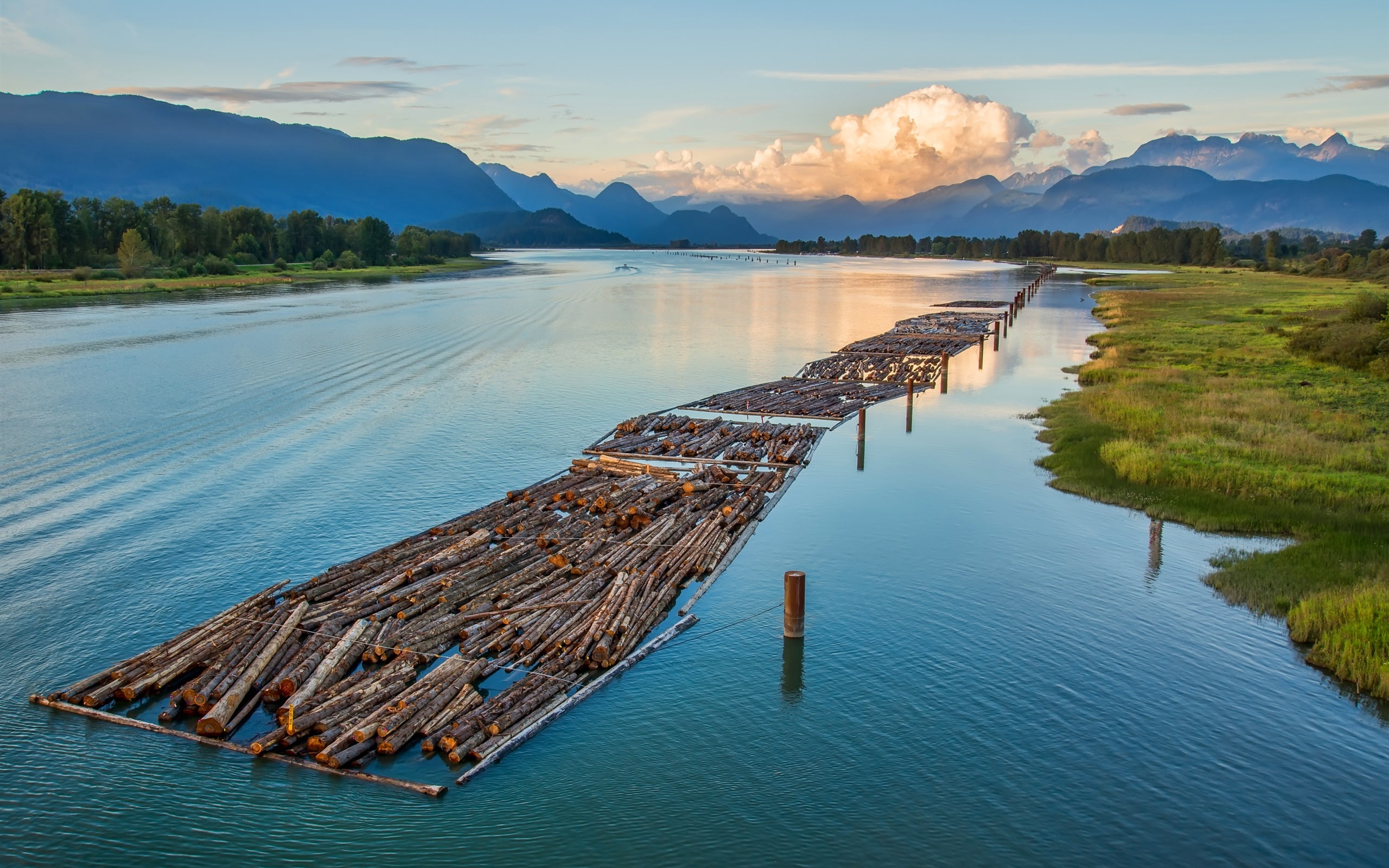 Rafting, lot, Clouds, Mountain, Trees, Canada, Columbia, 2K, firewood, British, River, HD Wallpaper