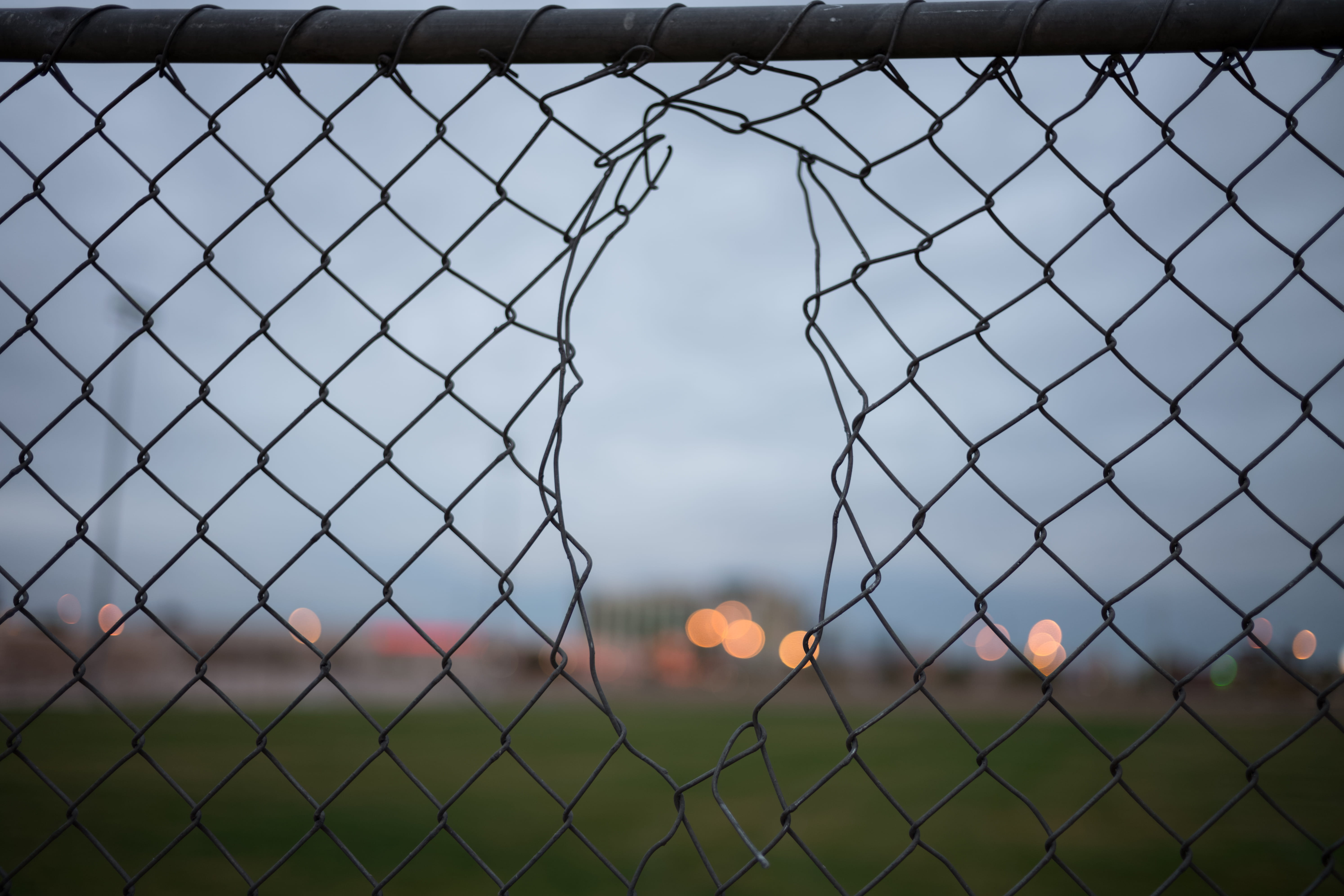 baseball, mammal, boundary, sphere, land, tiger, pattern, 5K, chainlink fence, day, silhouette, sports, wildlife, animal, barrier, barricade, soccer, field, HD Wallpaper