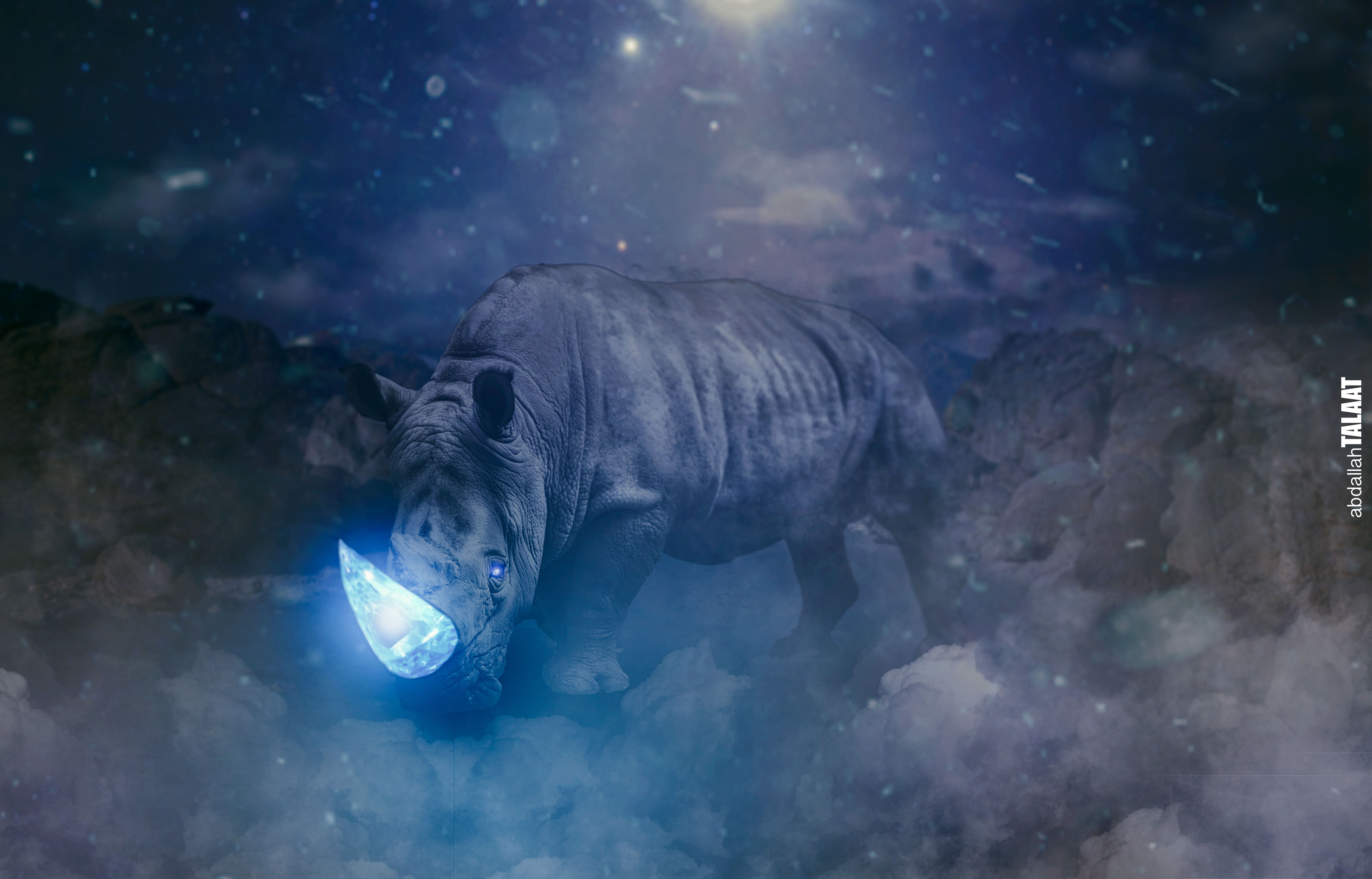 rhino, 5K, crystal, art installation, digital, HD Wallpaper