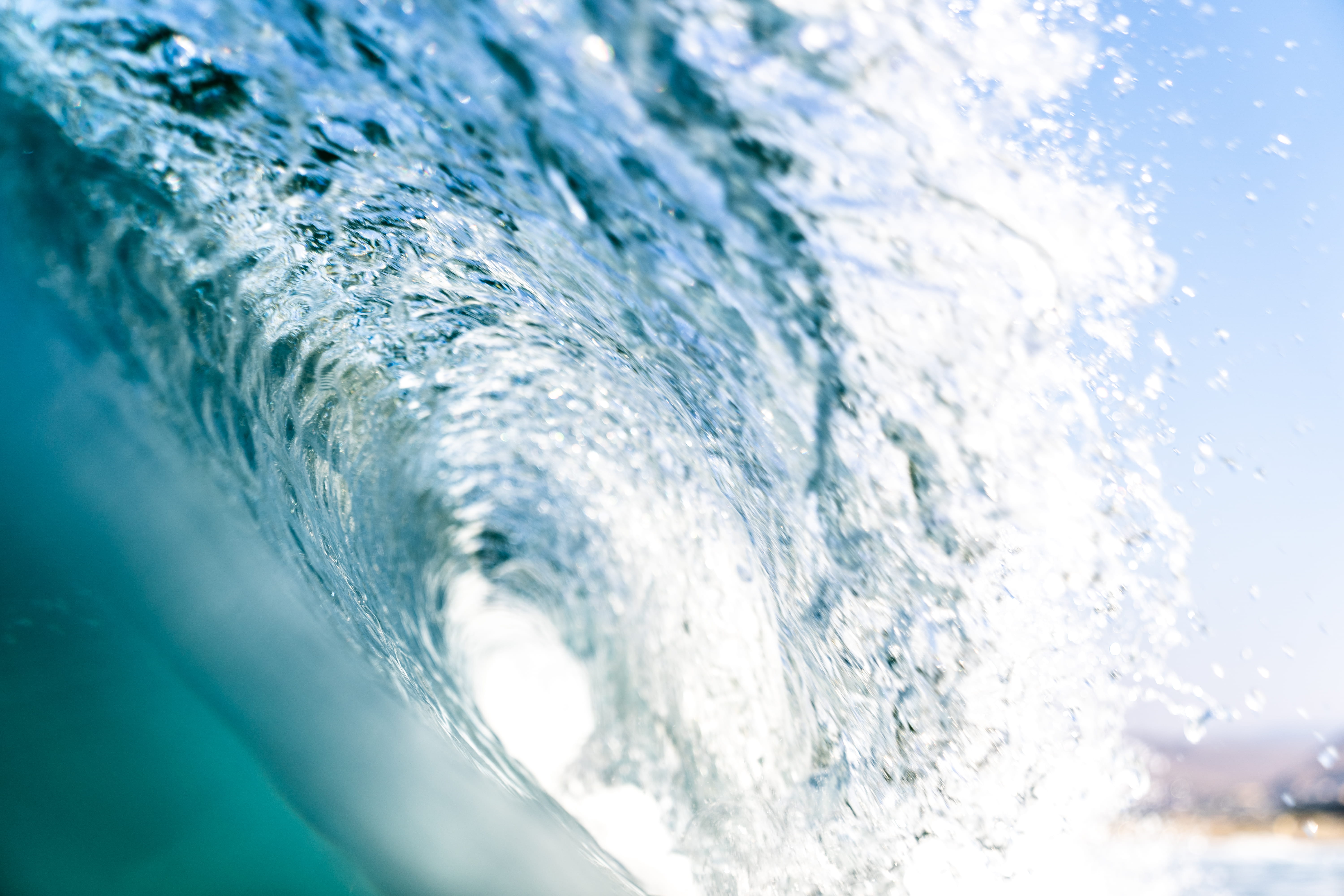 break, aquatic sport, beauty in nature, sport, ocean, 5K, tsunami, splashing, close-up, selective focus, animal, day, sea, bear, flowing water, waves, HD Wallpaper