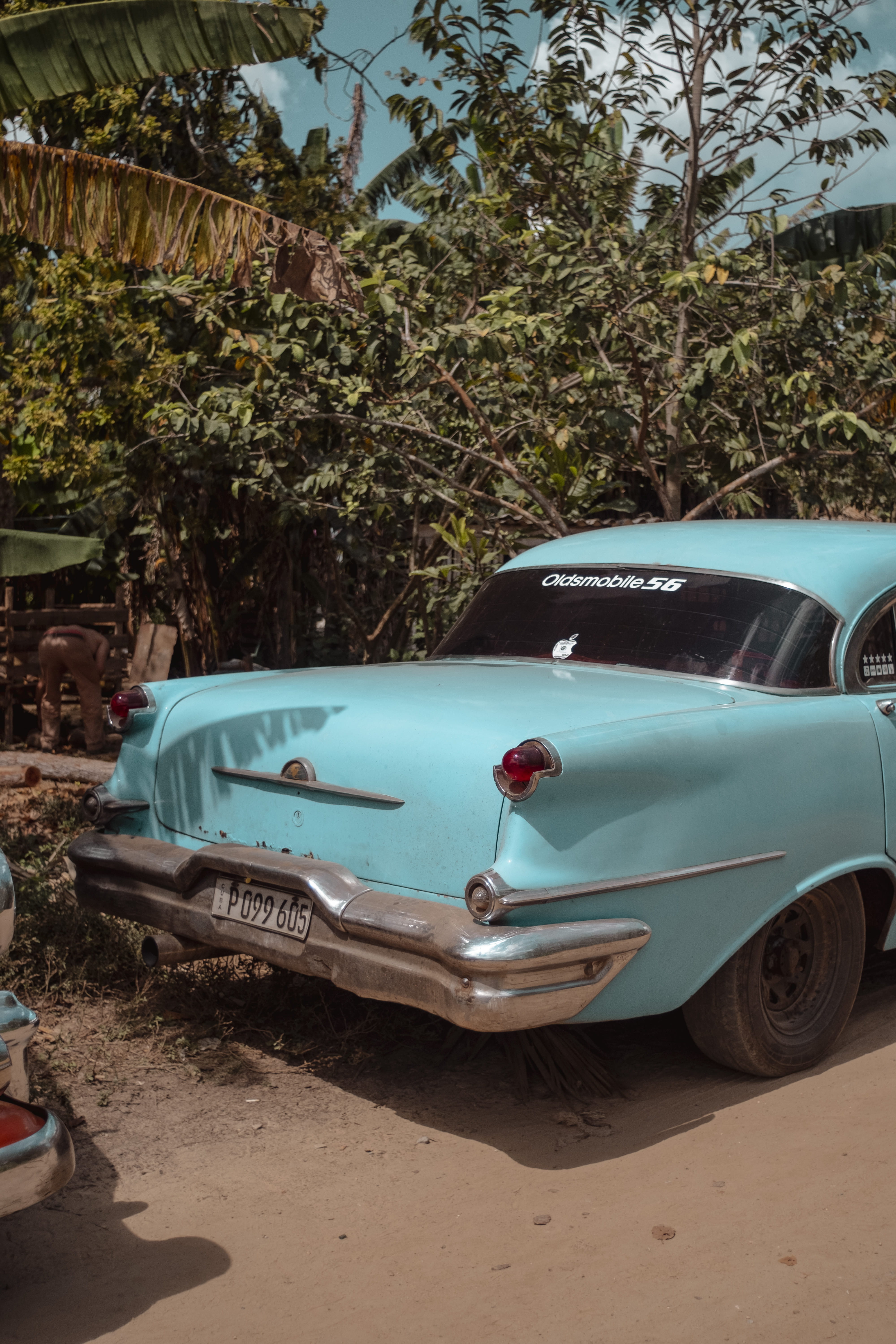 cuba, retro styled, travel, plant, mode of transportation, vehicle, animal, car, tobacco farm, wheel, tree, cow, motor vehicle, nature, abandoned, vintage, Phone HD Wallpaper