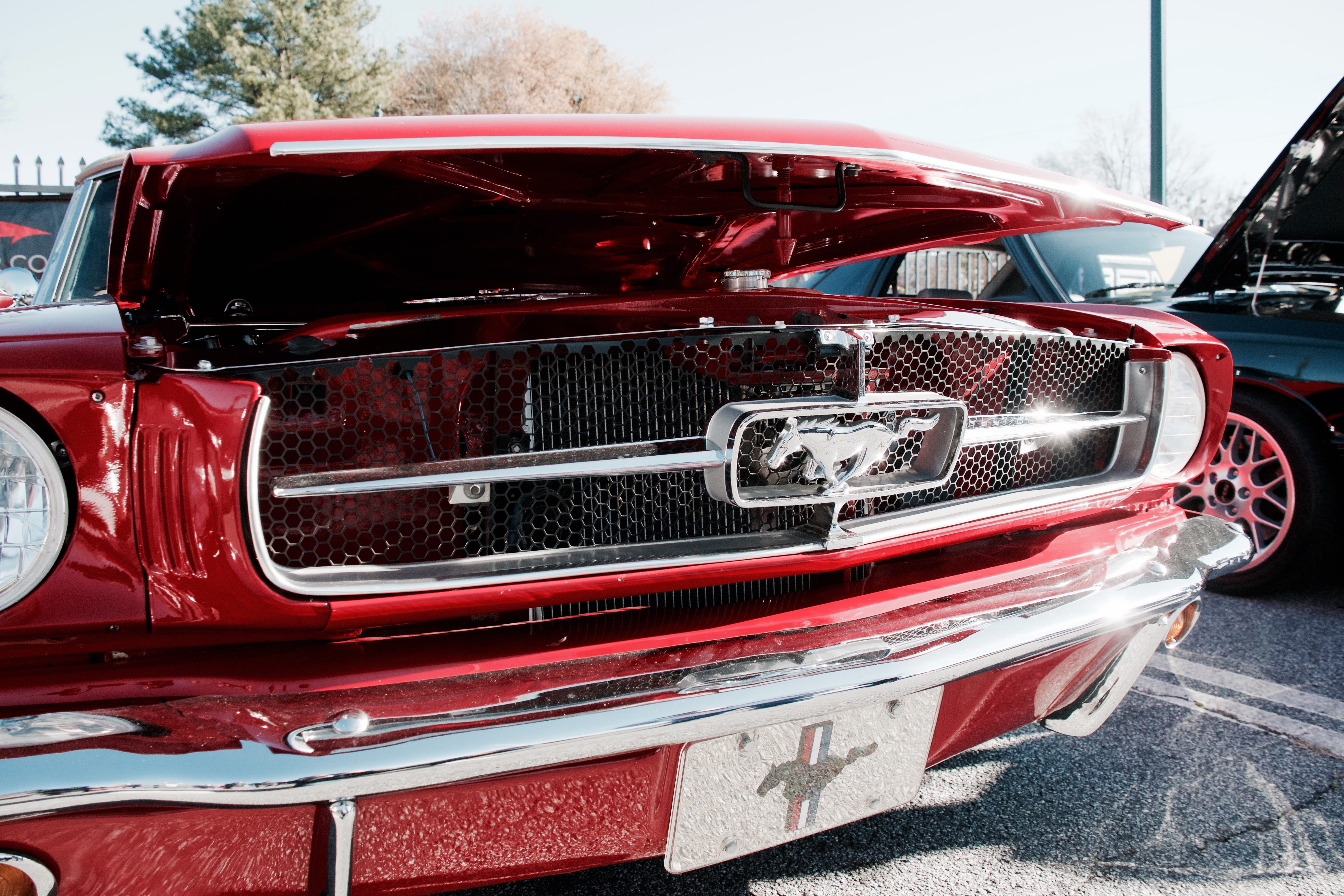 5K, reflection, octane, street, close-up, classiccar, luxury, city, retro styled, transportation, mode of transportation, mustang, day, vehicle hood, outdoors, HD Wallpaper