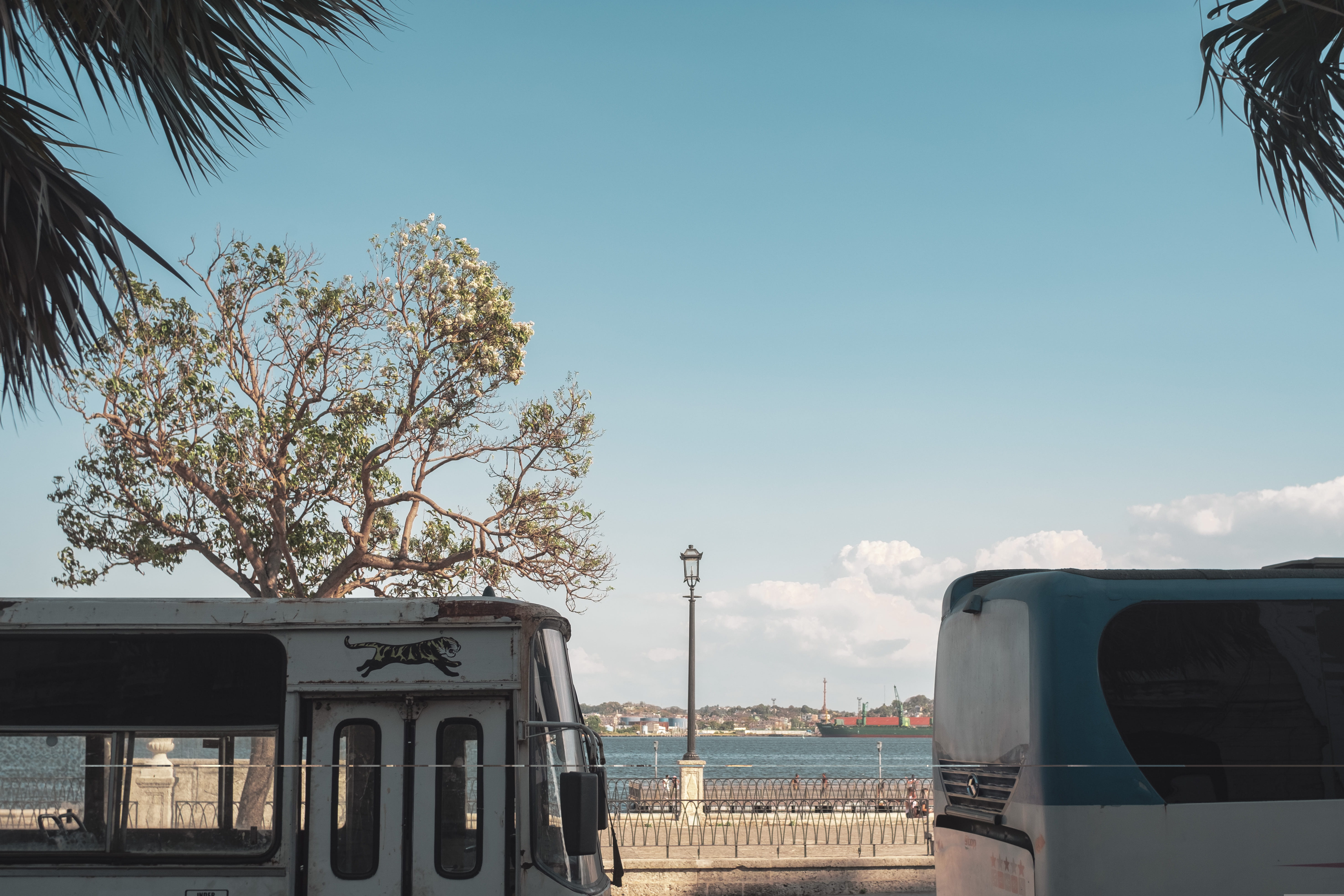 water, 5K, vessel, plant, mode of transportation, travel, outdoors, vehicle, railway, la habana, power, rail, waterfront, train - vehicle, nature, no people, HD Wallpaper