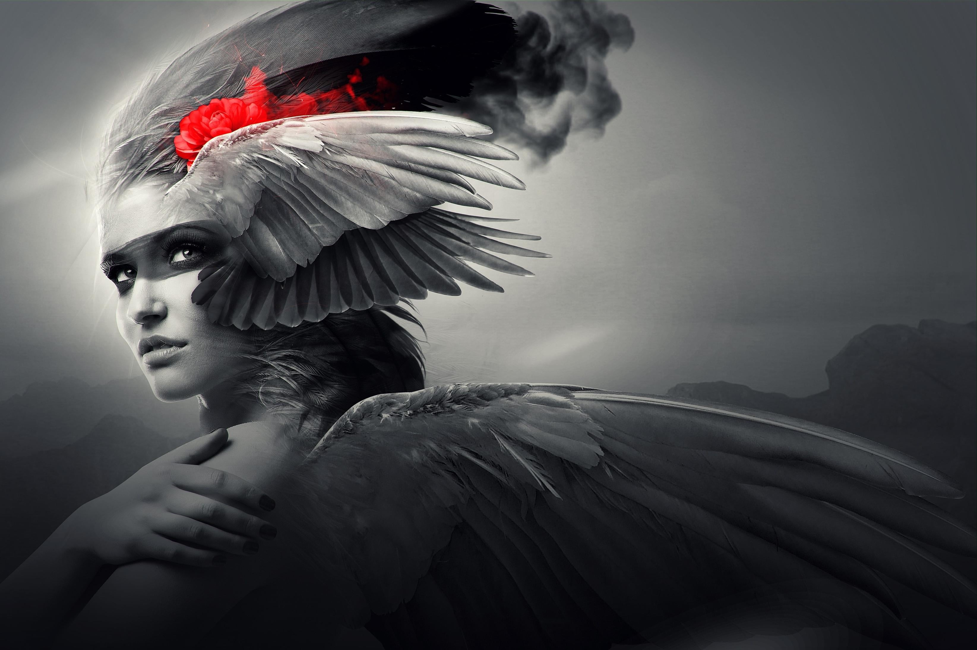 angel, feather, beauty, people, sky, bird, studio shot, gray, profile view, flying, cultures, fashion model, young adult, fashion, beautiful woman, elegance, HD Wallpaper
