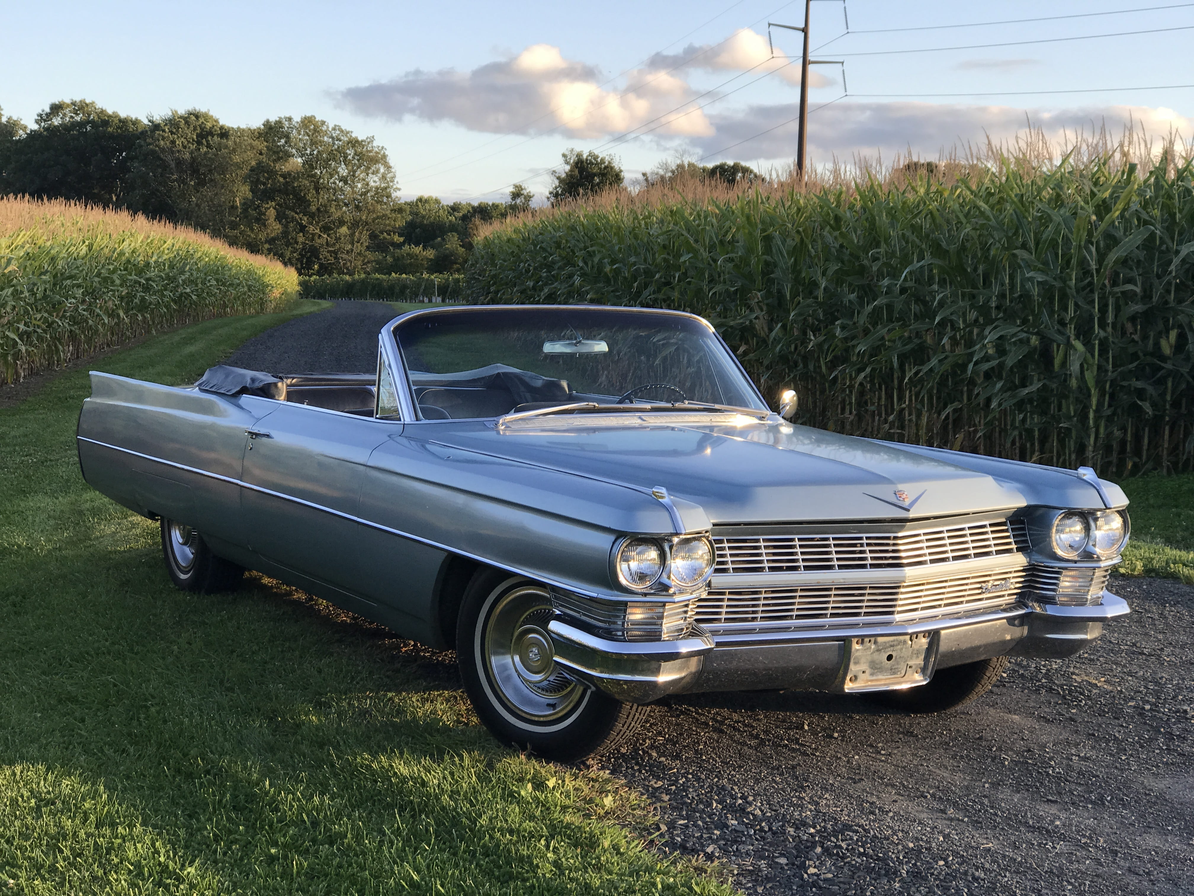 tree, motor vehicle, cadillac, deville, no people, vintage car, day, sunlight, mode of transportation, land, outdoors, land vehicle, plant, nature, convertible, HD Wallpaper