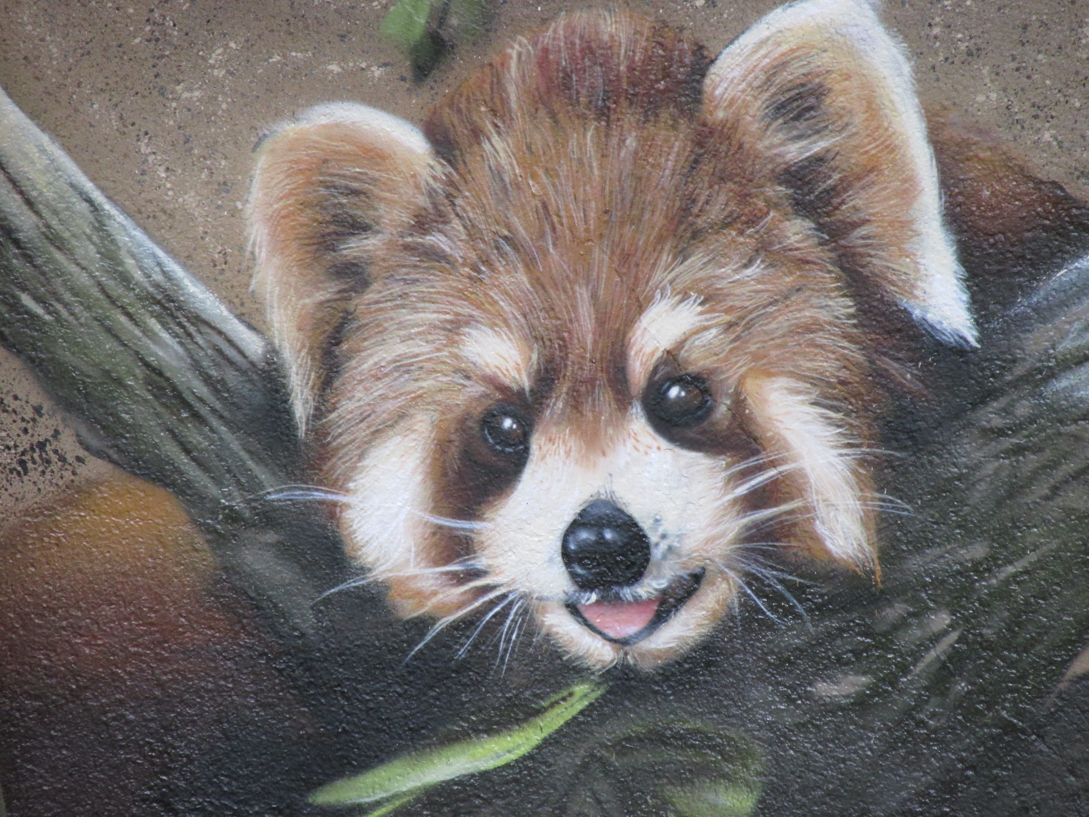 close-up, panda, animal themes, lichtenberg, wildlife photography, animal park berlin, zoo, domestic, brown, one animal, paint, animal world, 4K, wall art, HD Wallpaper