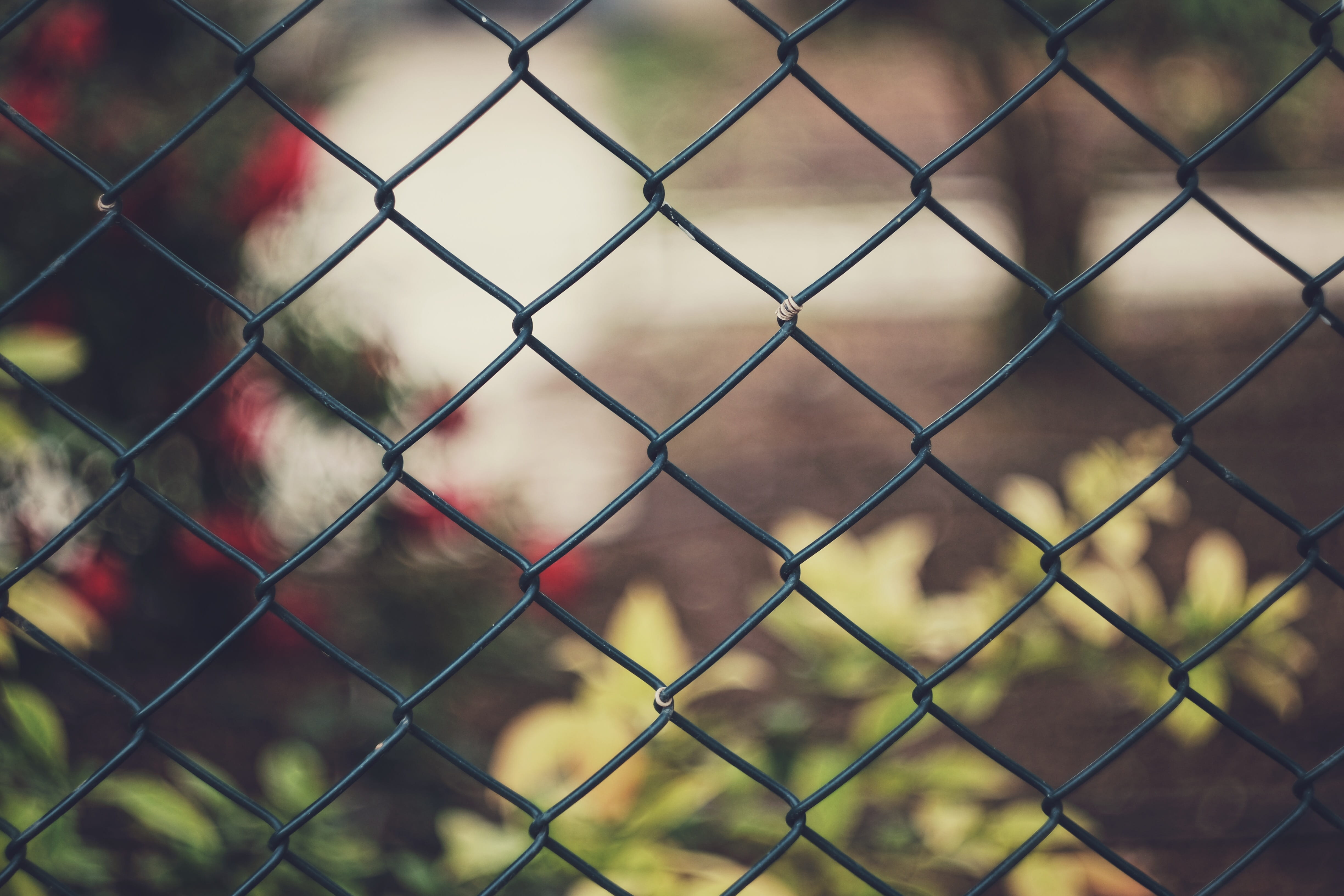 security, crisscross, chainlink fence, backgrounds, focus on foreground, nature, safety, daytime, steel, cyclone, grey, chain link fence, close-up, pattern, HD Wallpaper