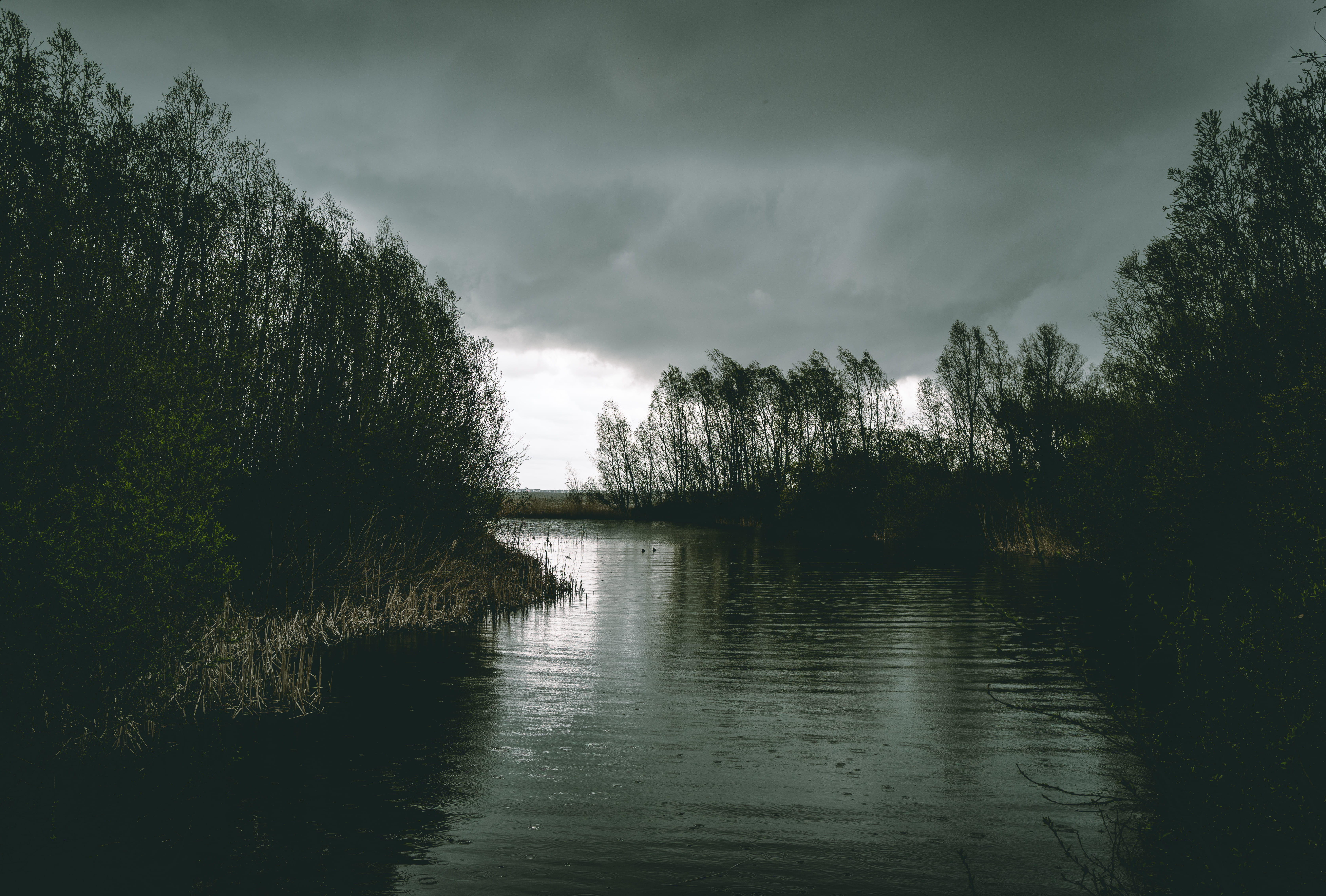 marsh, trees, 5K, beauty in nature, non-urban scene, sky, ditch, scenery, bog, flood, tranquility, stormy, land, day, storm, waterfront, lake, nature, HD Wallpaper