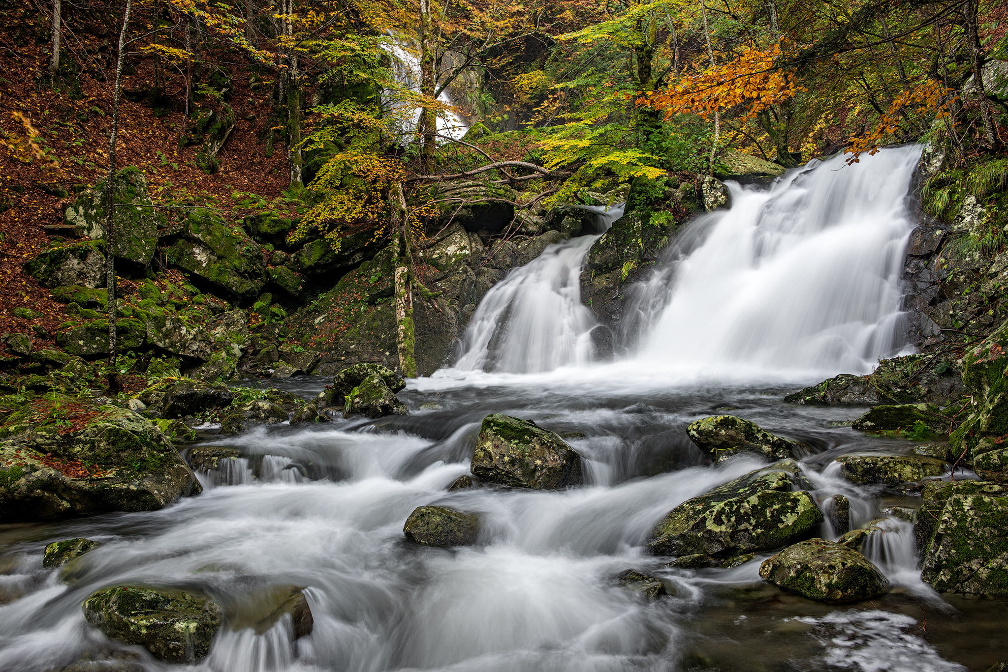 the river Parma, 1080P, Italy, Parma river, Emilia-Romagna, river, autumn, waterfall, cascade, forest, stones, HD Wallpaper