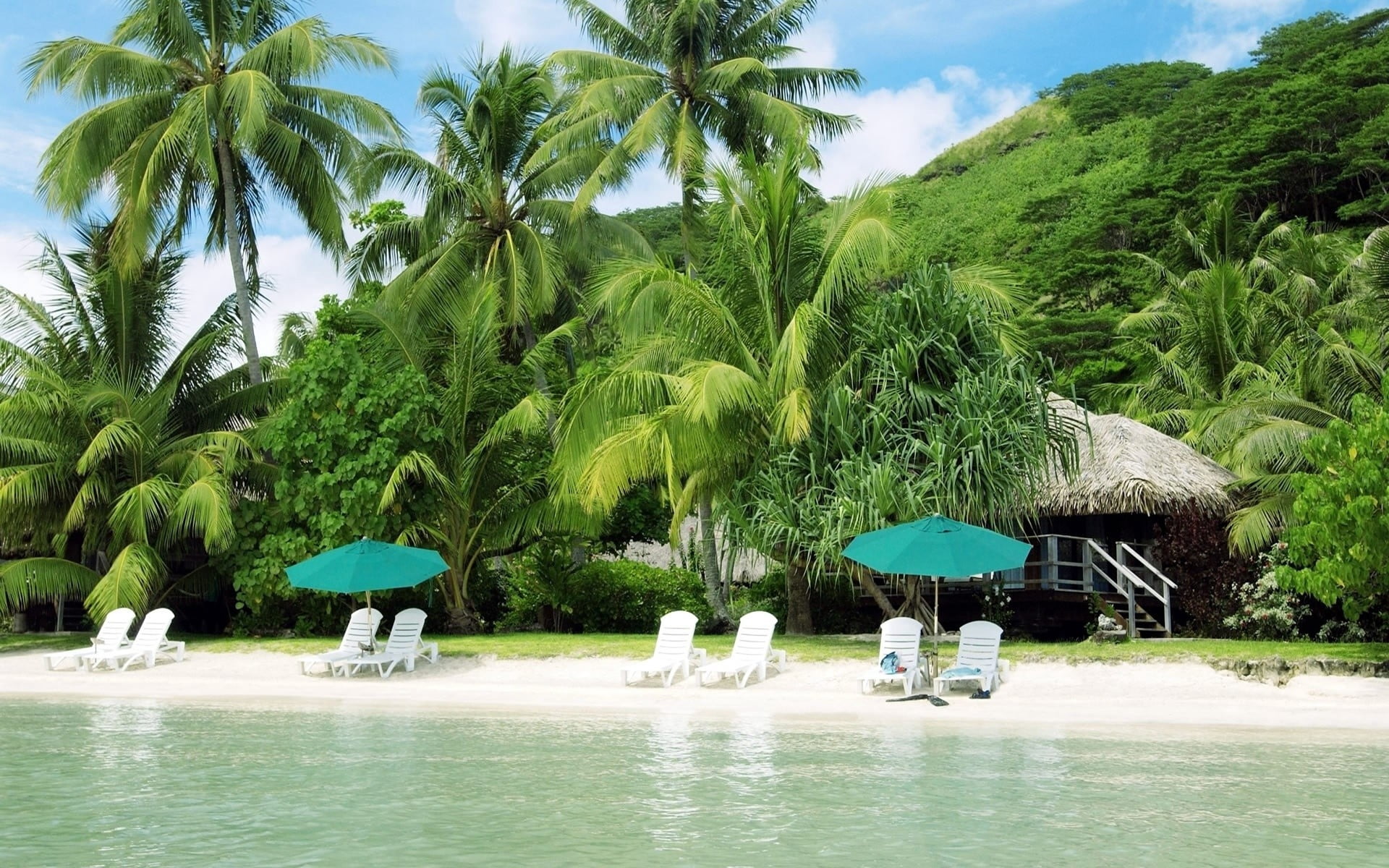 no People, recreational Pursuit, tranquil Scene, coast, coconut Palm Tree, exoticism, blue, island, hut, water, beauty In Nature, sand, plant, waterfront, HD Wallpaper