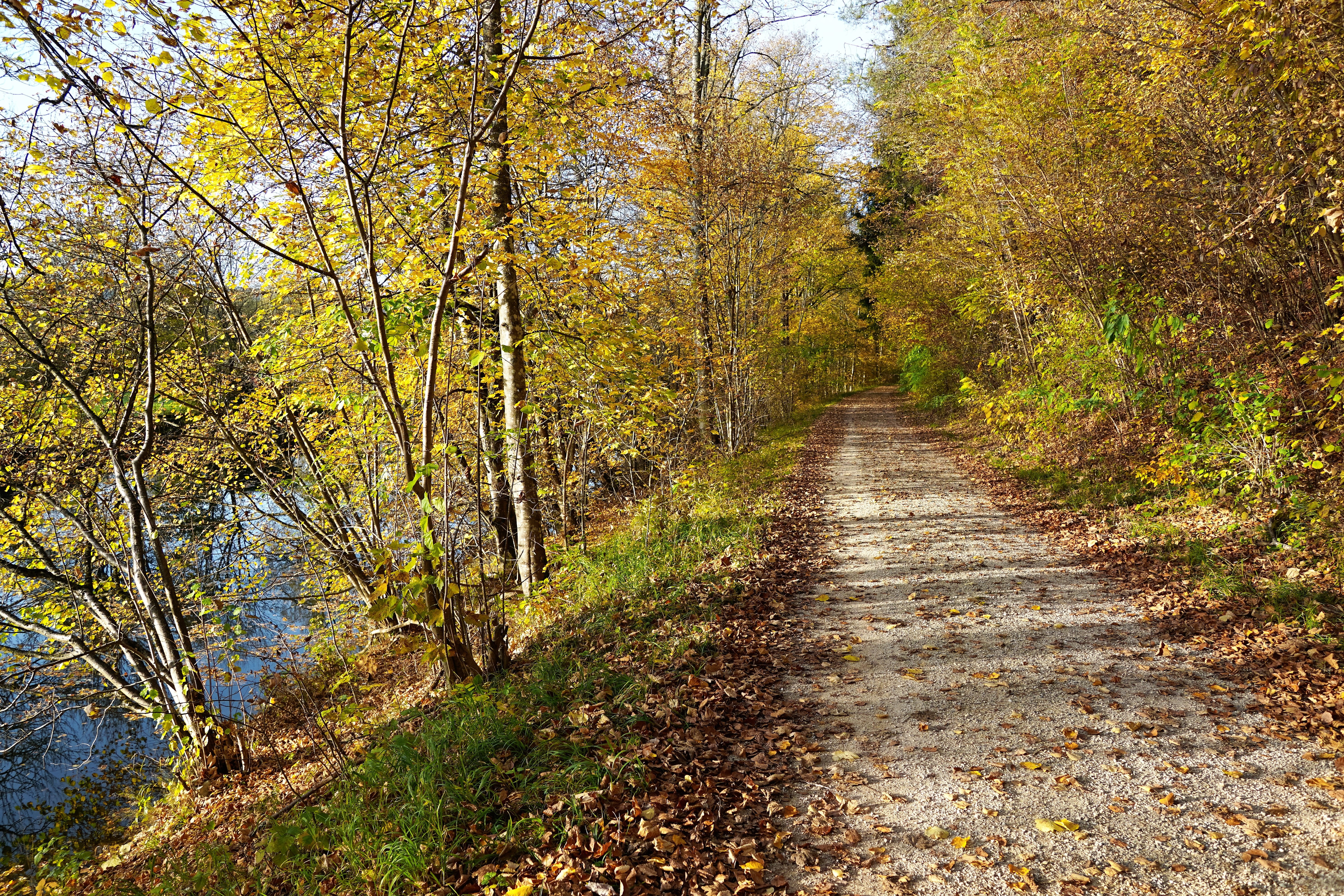 clouds, target, sunny, leaves, land, sunlight, mood, meditation, tuttlingen, travel, wanderer, direction, autumn light, bank of the danube, away, non-urban scene, HD Wallpaper