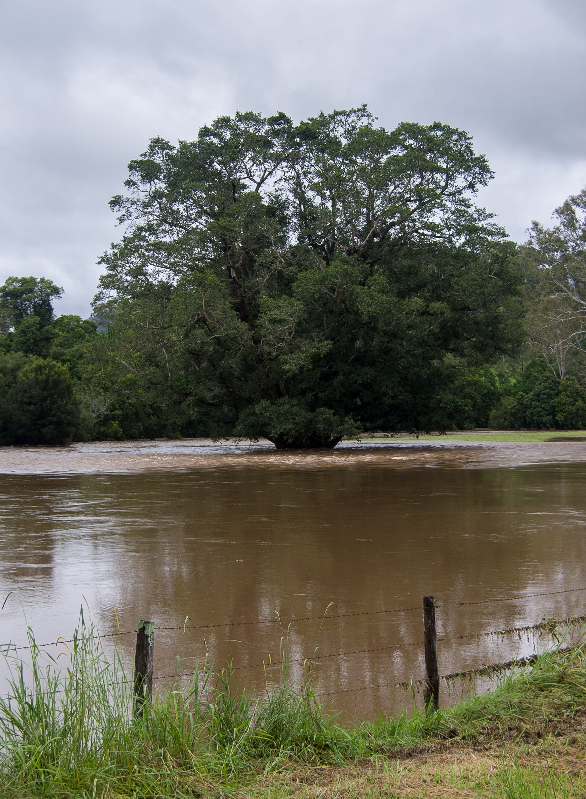 australia, land, non-urban scene, sky, beauty in nature, tree, Flood, no people, tranquil scene, River, idyllic, Danger, tranquility, Trees, outdoors, rural, Phone HD Wallpaper