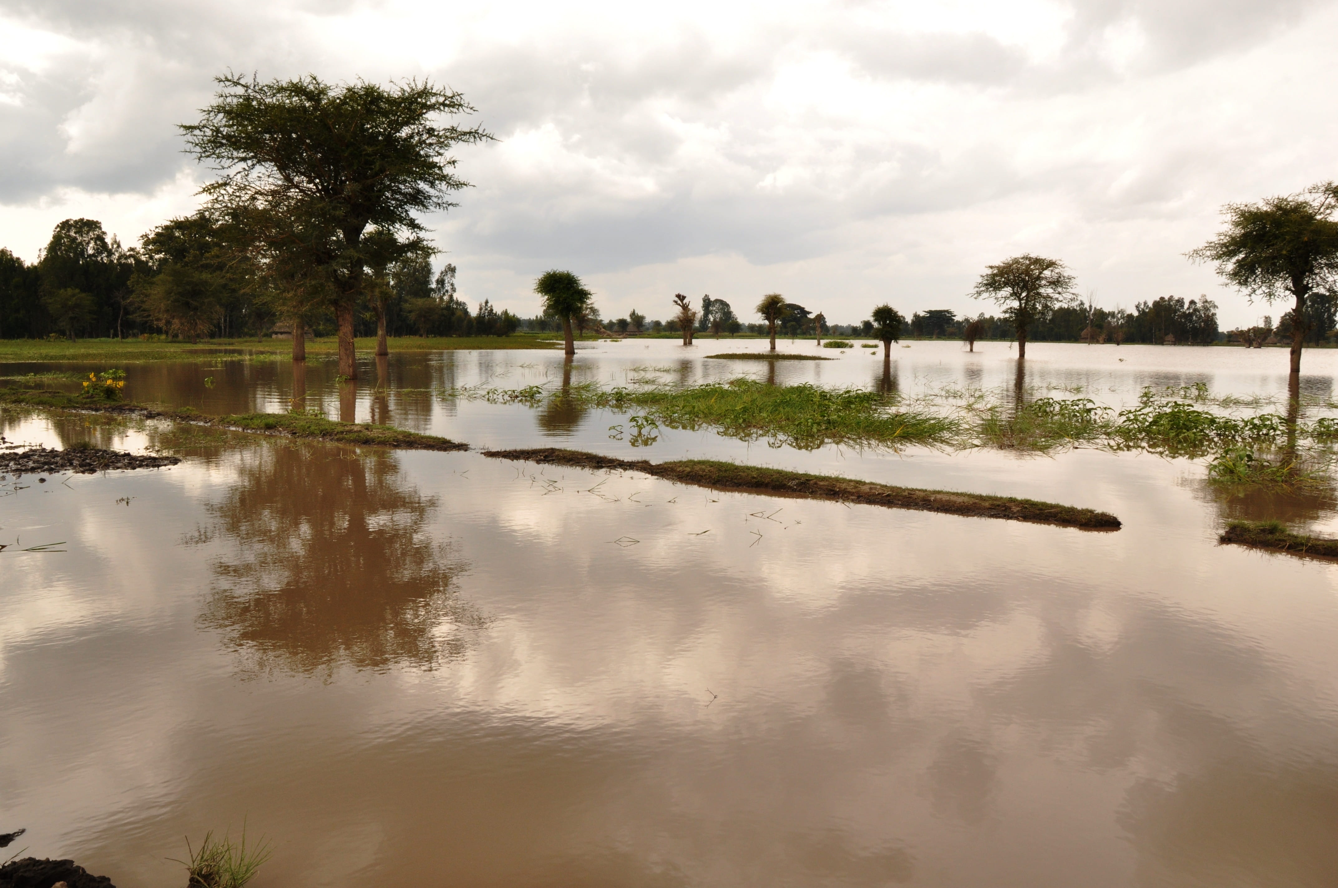 catastrophe, climate, tranquil scene, tree, flooded house, high, environmental, growth, weather, storm, insurance, nature, environment, day, lake, disaster, HD Wallpaper