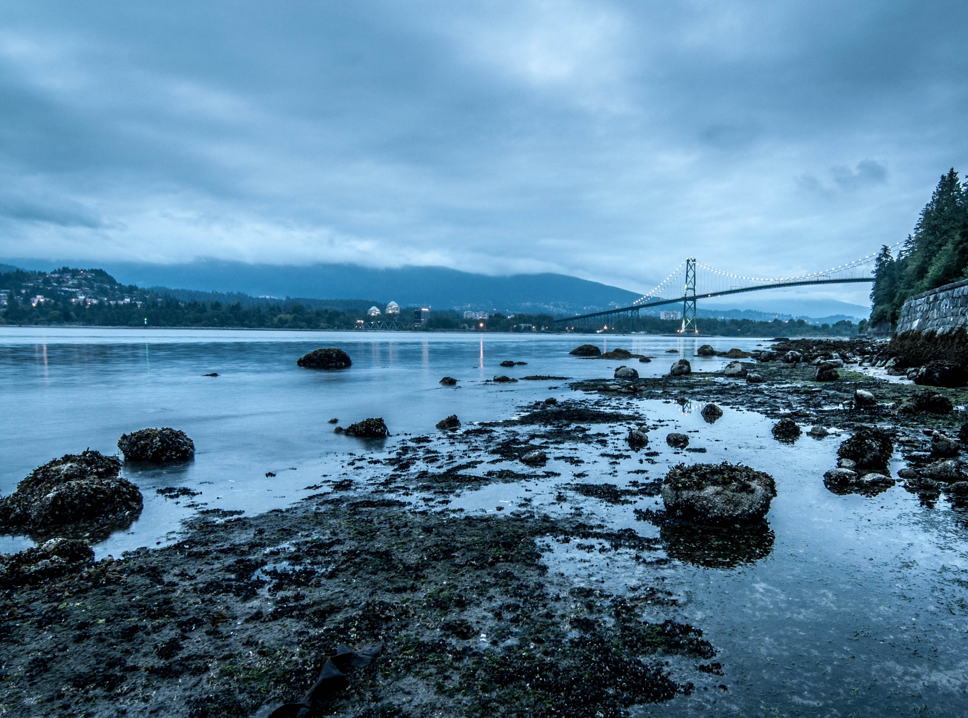 lionsgatebridge, lions, gate, Canada, scenics - nature, built structure, tranquil scene, no people, transportation, winter, Vancouver, parksandhikes, cloud - sky, HD Wallpaper