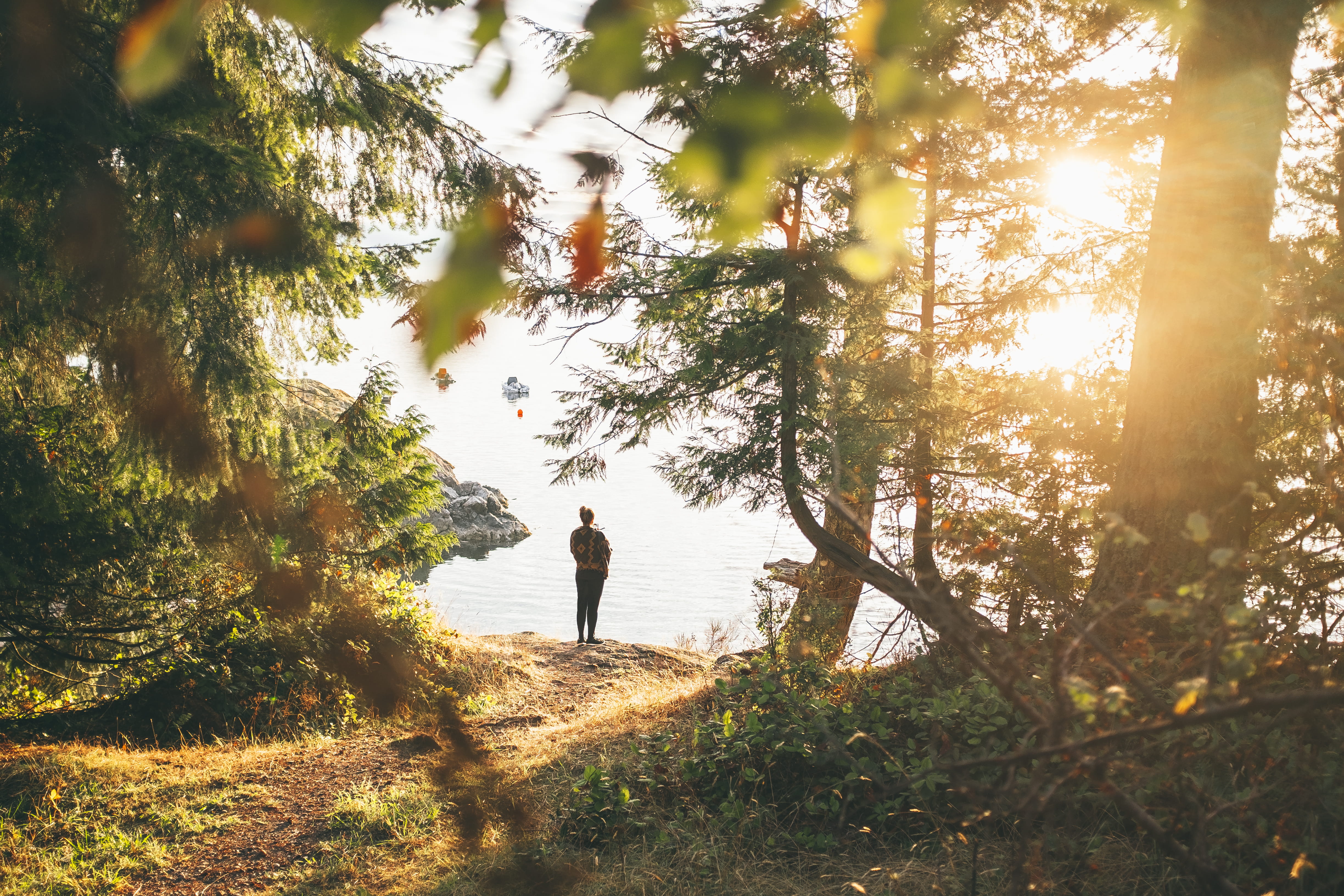 non-urban scene, tree, seawall, outdoors, standing, lifestyles, island, men, full length, real people, leisure activity, beauty in nature, 4K, sun, canada, HD Wallpaper