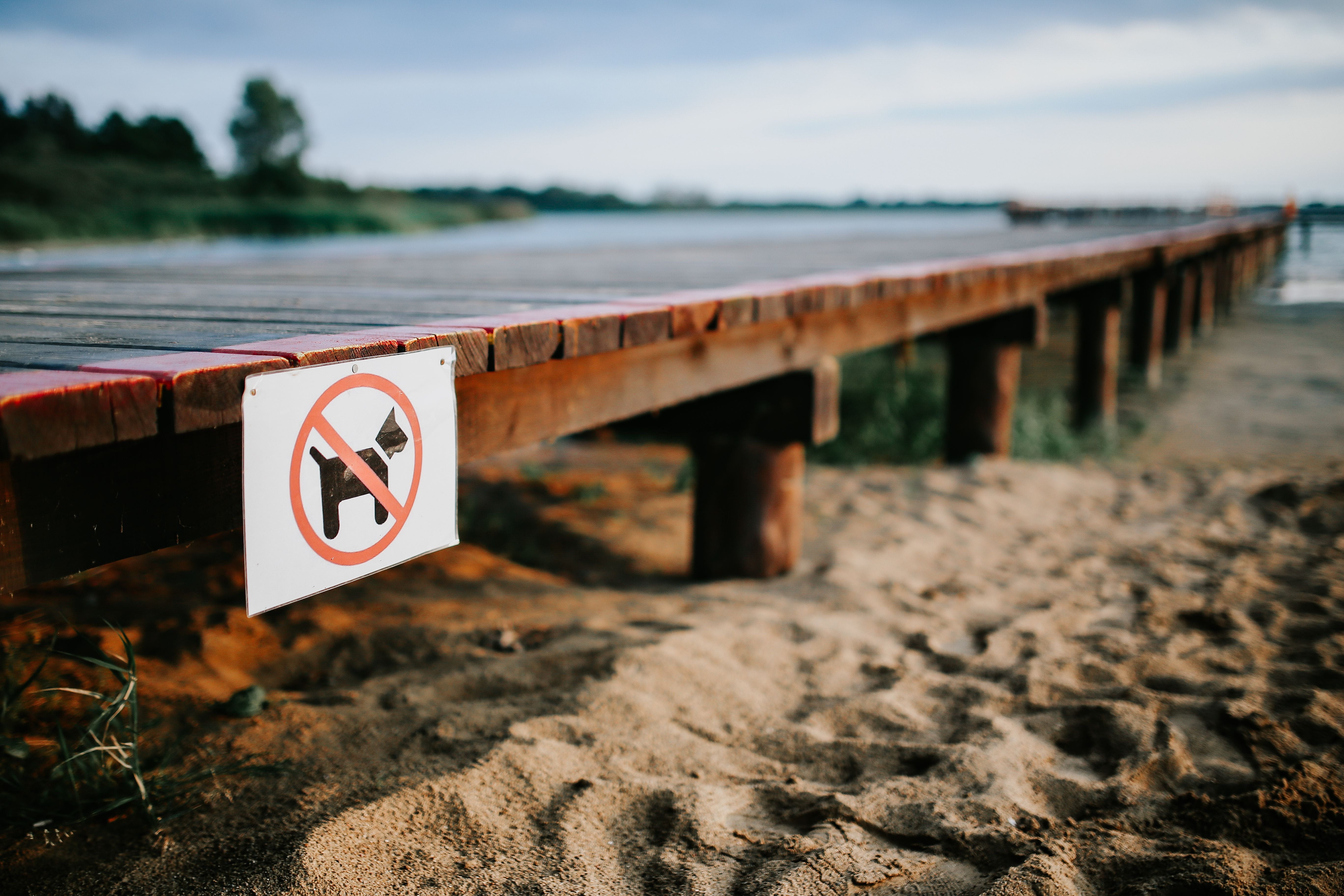 warning sign, land, pier, water, sea, walk, communication, 5K, no People, summer, selective focus, outdoors, focus on foreground, lake, boat, sky, beach, HD Wallpaper