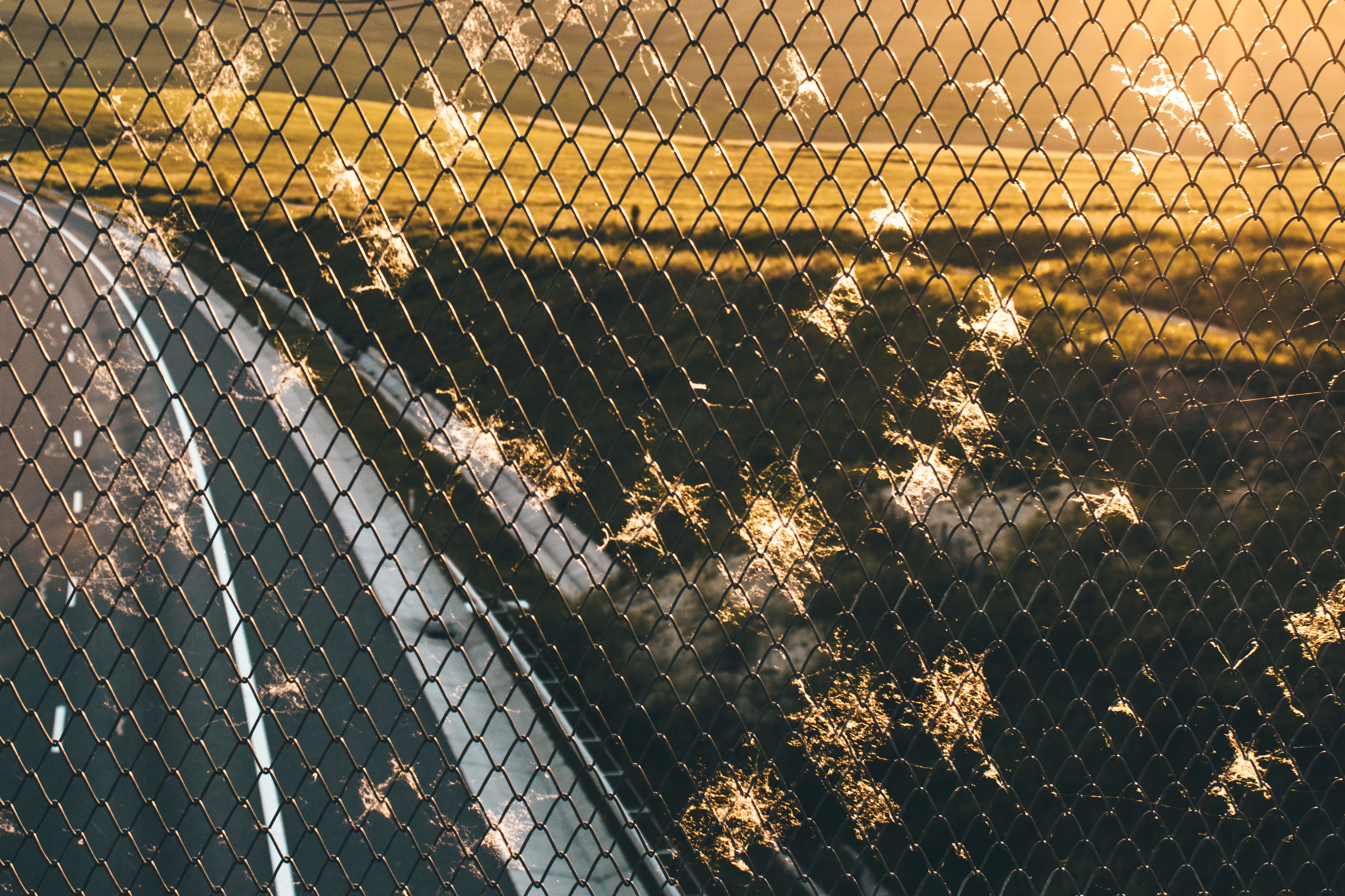 day, nature, landscape, link, grass, sunset, 2K, dandelions, outdoors, wall, highway, hills, boundary, cyclone fence, security, wire, safety, sunlight, HD Wallpaper