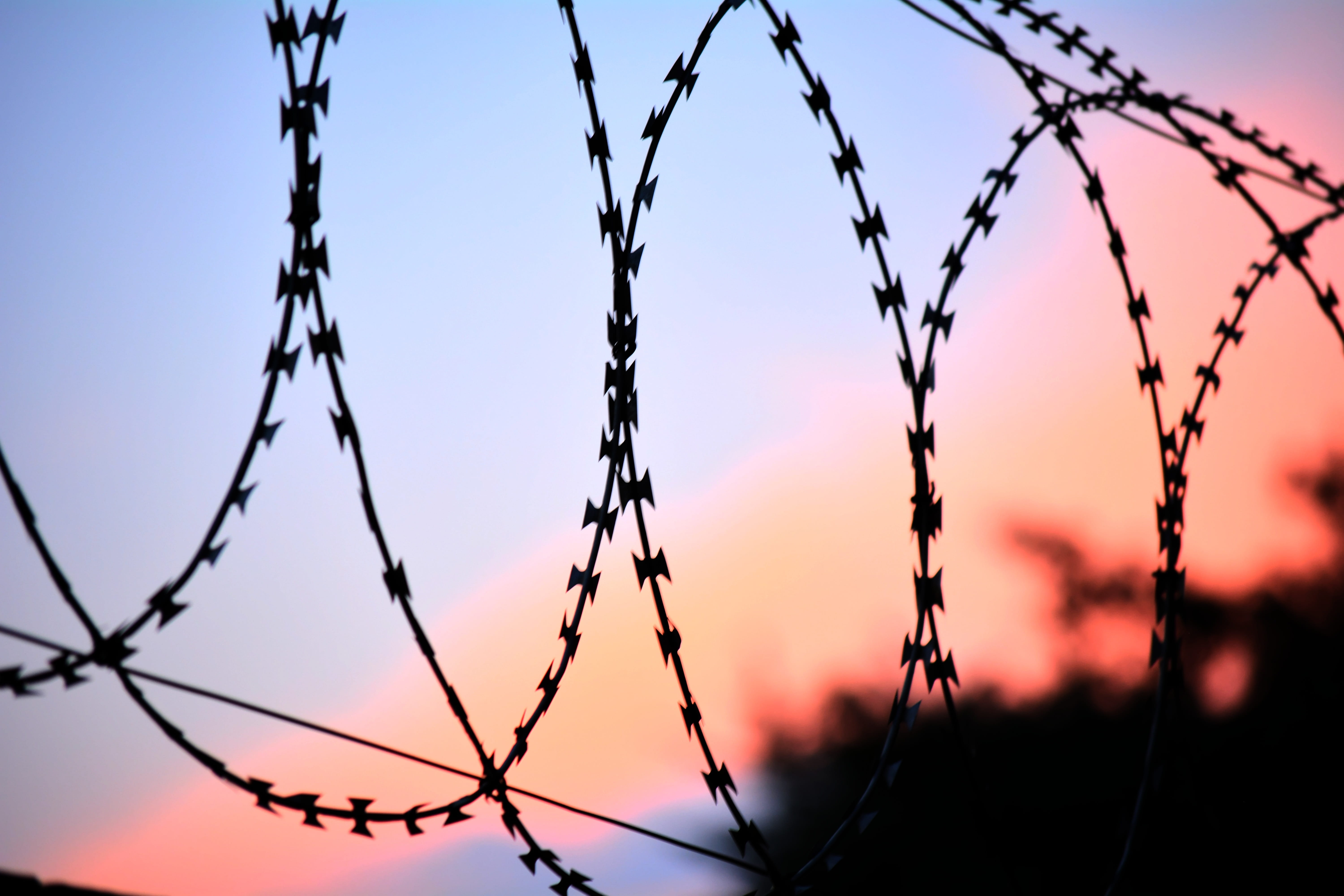 crime, dusk, communication, outdoors, Steel, safety, focus on foreground, sunset, security, danger, fence, low angle view, 5K, sky, barrier, metal, barbed wire, HD Wallpaper