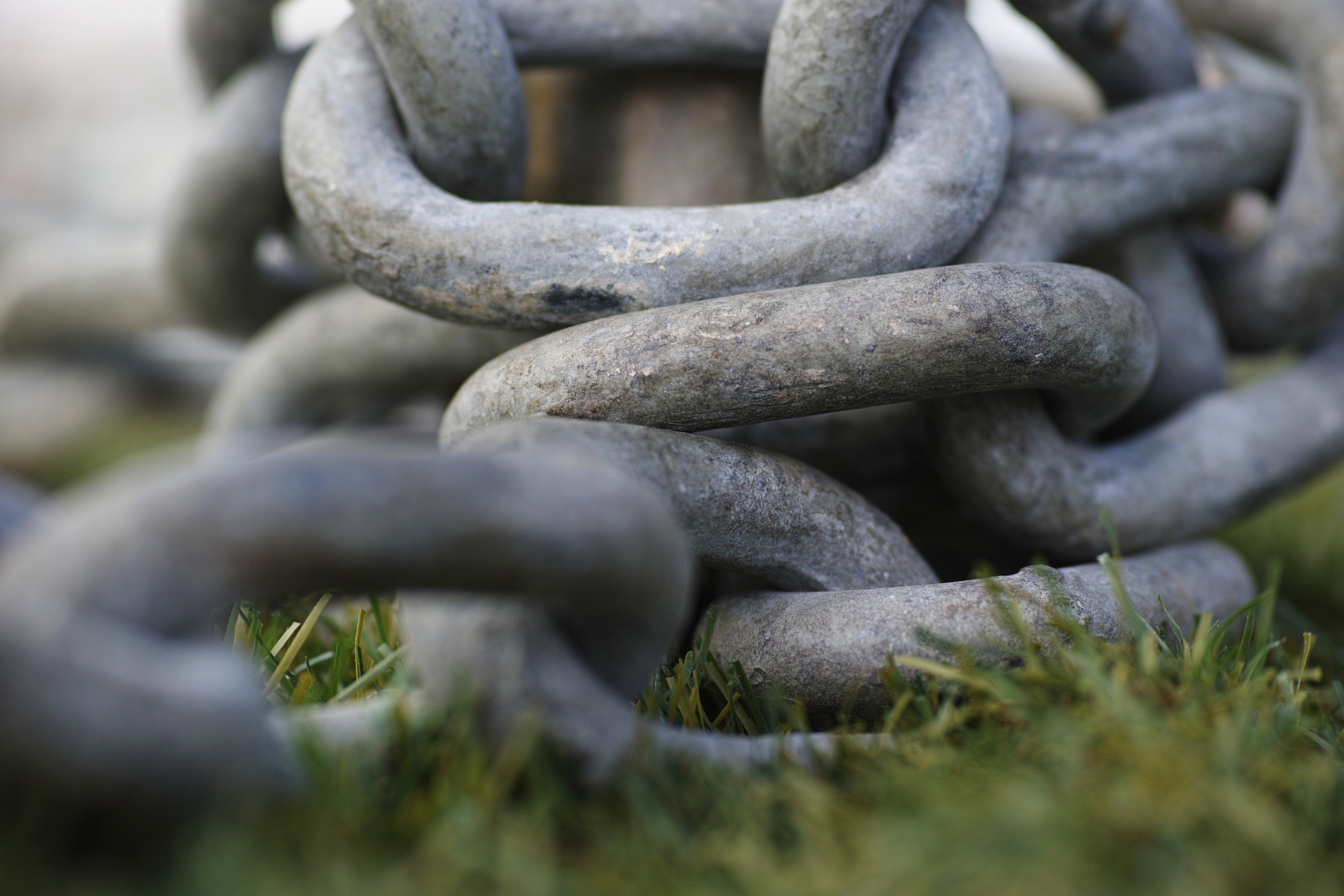 design, day, plant, abundance, connection, selective focus, 5K, link, outdoors, shape, background, macro, nobody, color image, full frame, metal, nature, HD Wallpaper