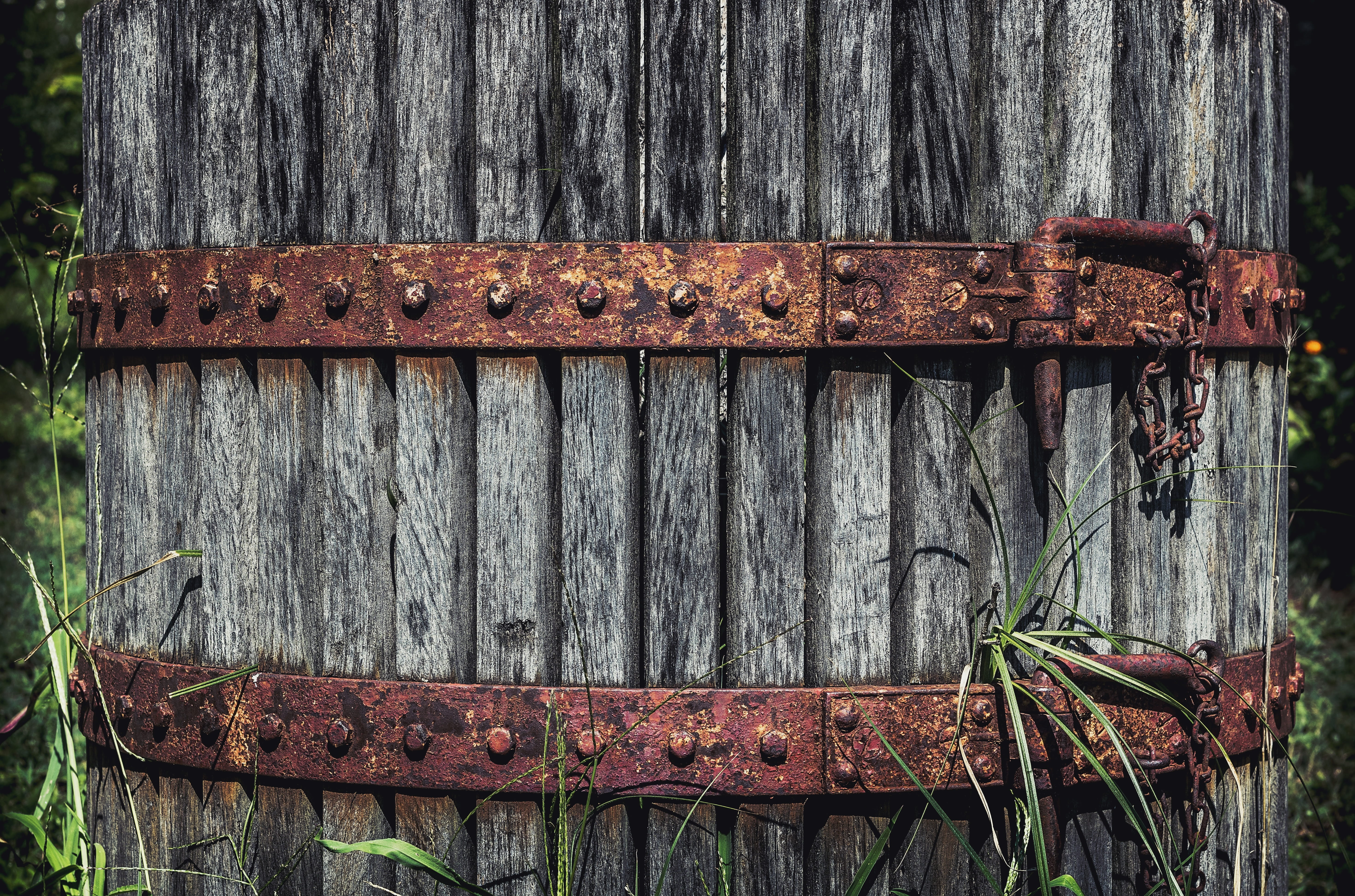 security, rusty, metal, weathered, protection, 5K, wood - material, bad condition, nature, rustic, fence, wooden, tree, dirty, day, run-down, outdoors, HD Wallpaper