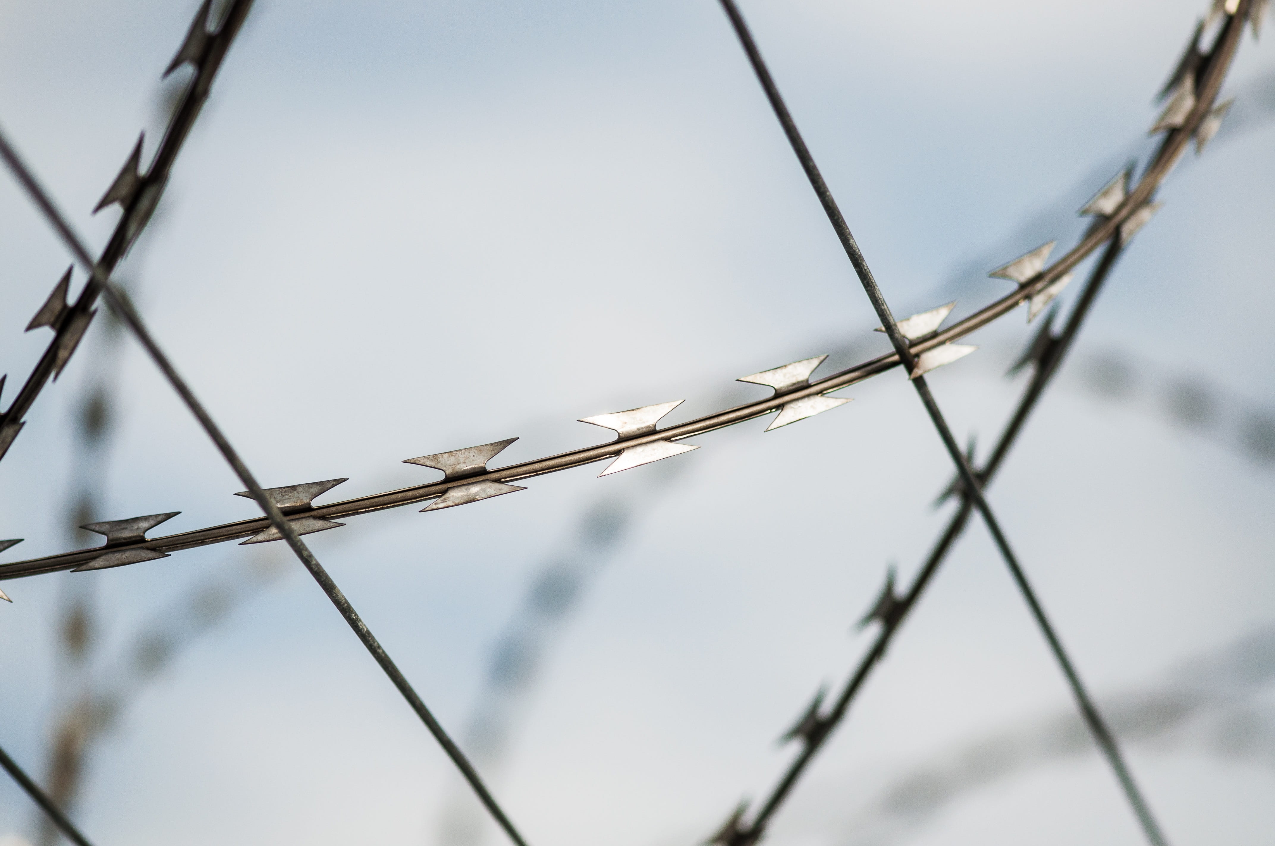 barbed wire, barrier, outdoors, prison, focus on foreground, 4K, sharp, alloy, sign, metal, forbidden, close-up, boundary, selective focus, day, fence, HD Wallpaper