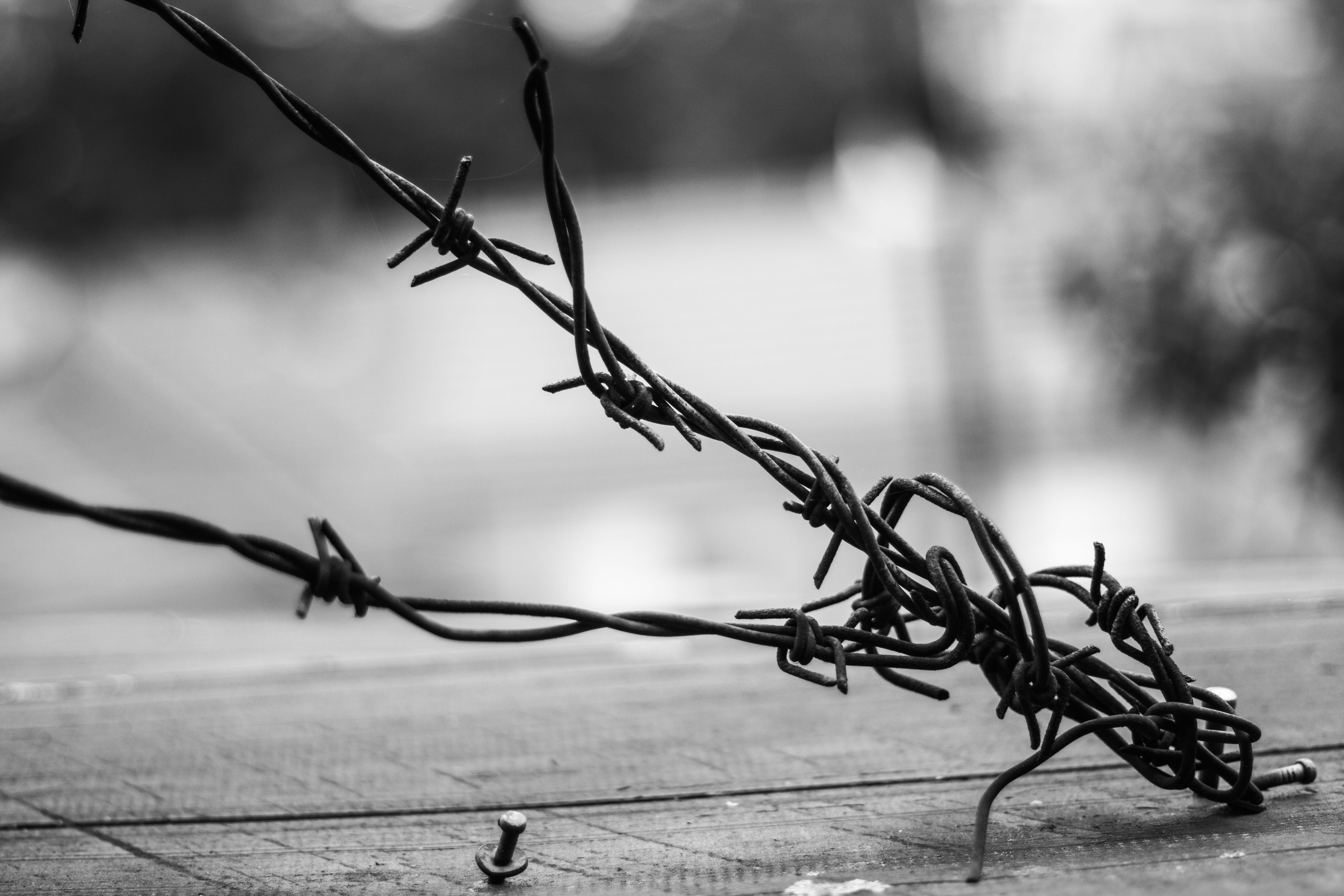 tool, the depth of the, craft, focus on foreground, selective focus, the safety of the, prison, driving, architecture, atmosphere, street, tree, barbed wire, HD Wallpaper