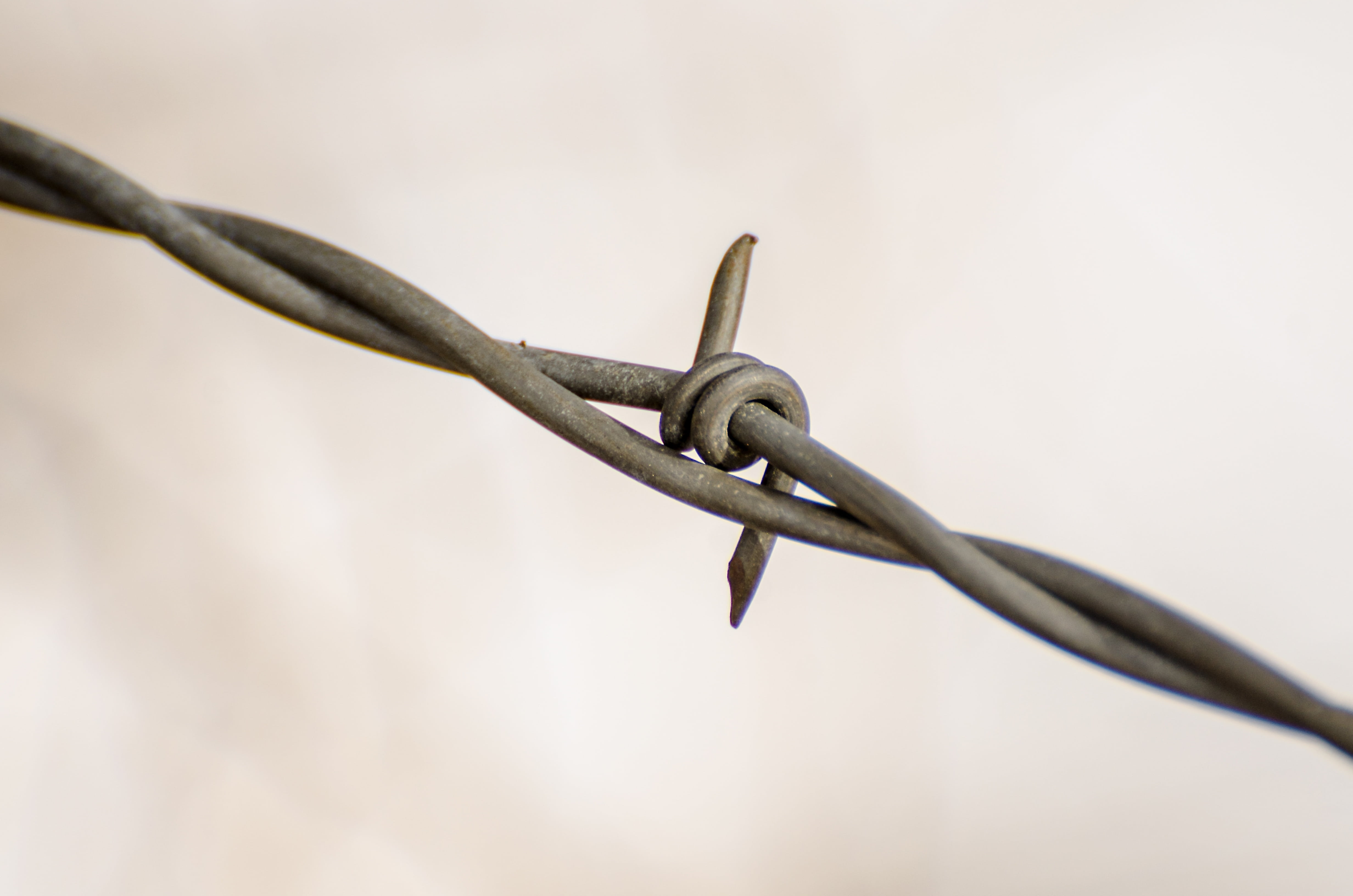 steel, iron - Metal, barrier, field, country, agriculture, wire, razor wire, protect, close-up, metal, no people, outdoor, nature, rusty, security, barbwire, HD Wallpaper