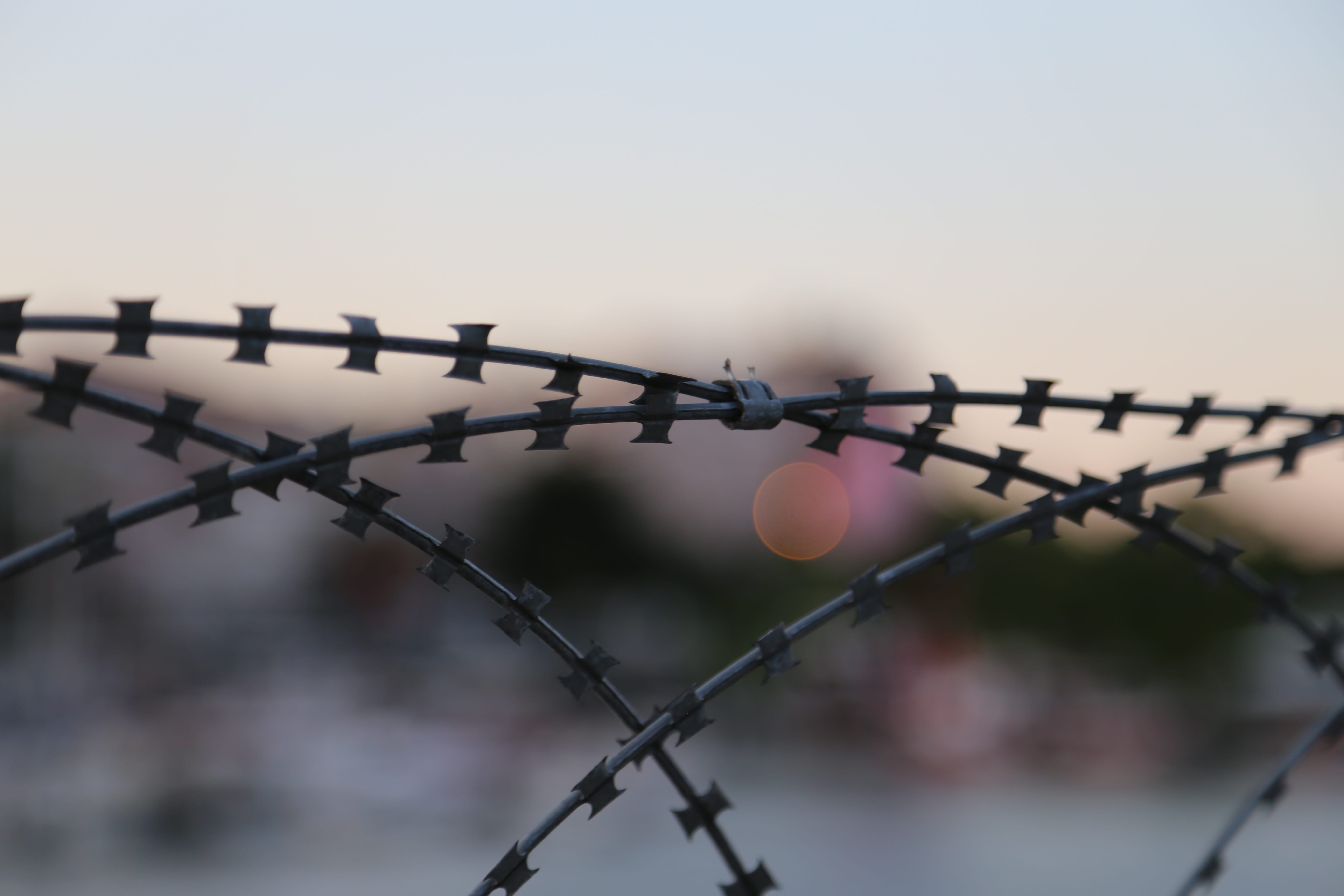 protection, boundary, warning sign, exclusion, communication, barb, enclosure, silhouette, focus on foreground, sky, 5K, Barbed Wire, barbed, dangerous, HD Wallpaper