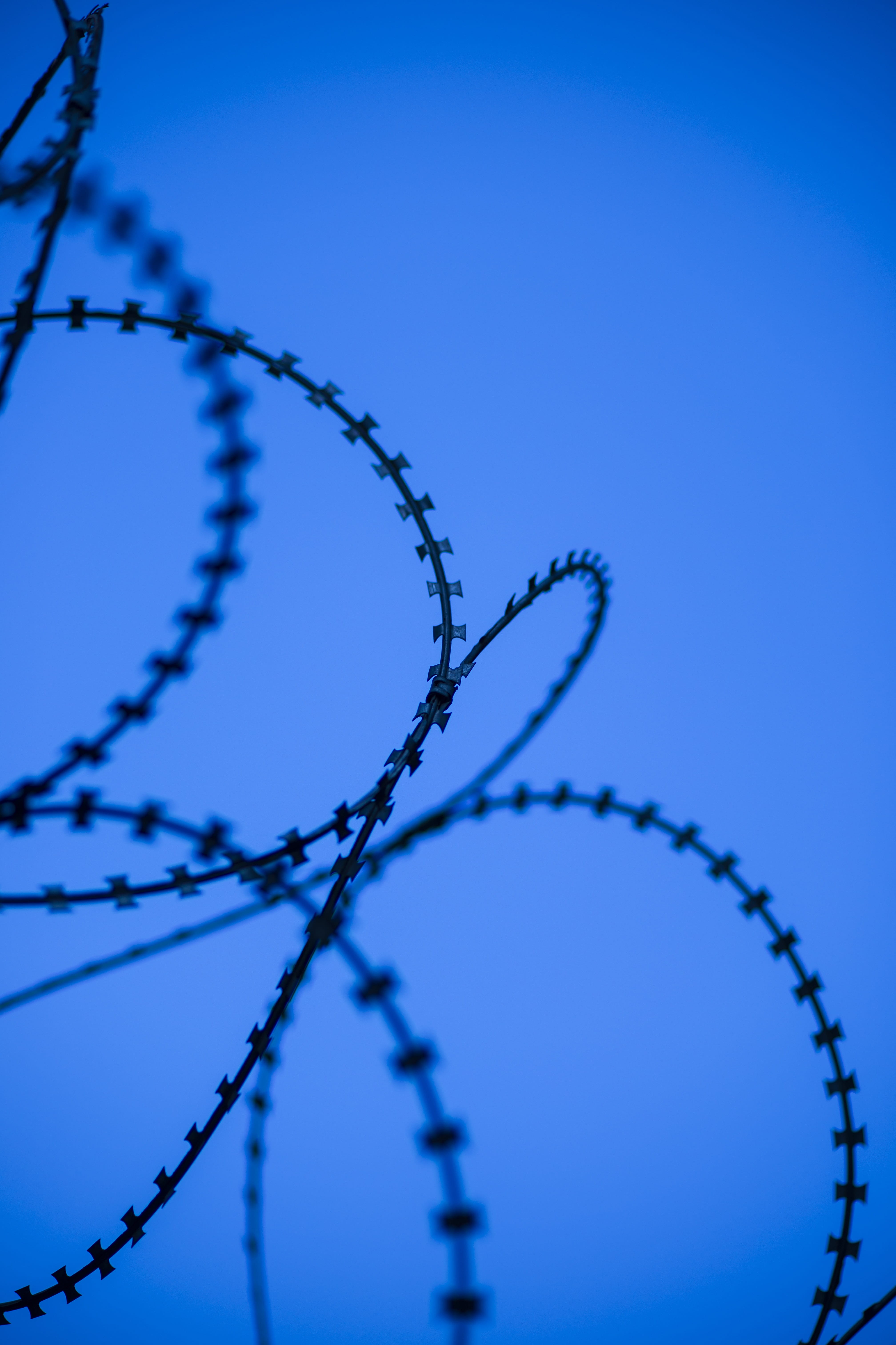 engel, military, close-up, fence, sharp, color image, barbed wire, boundary, metal, pattern, Wire, razor, protection, focus on foreground, detail, safety, Phone HD Wallpaper